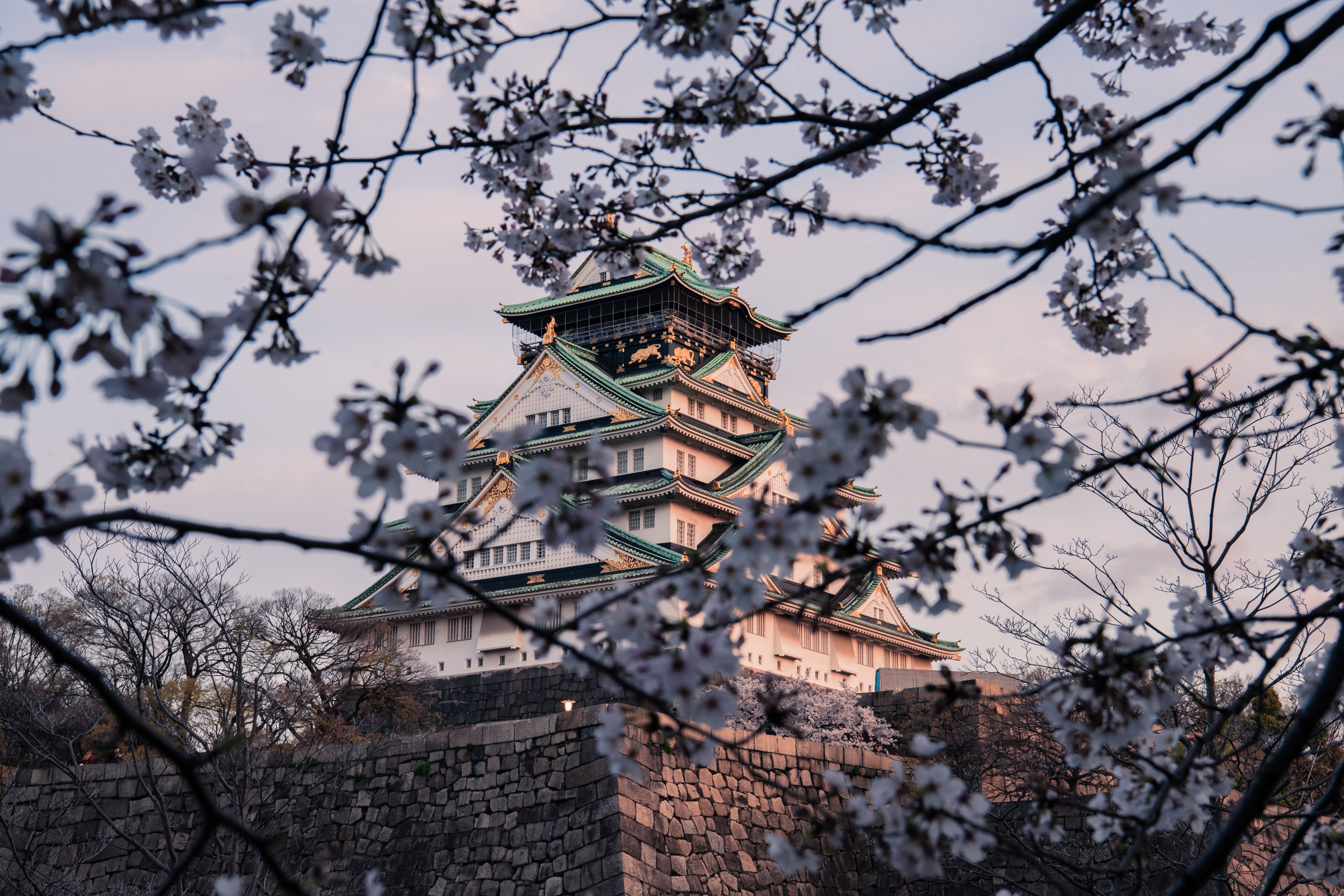 Osaka Castle Wallpapers