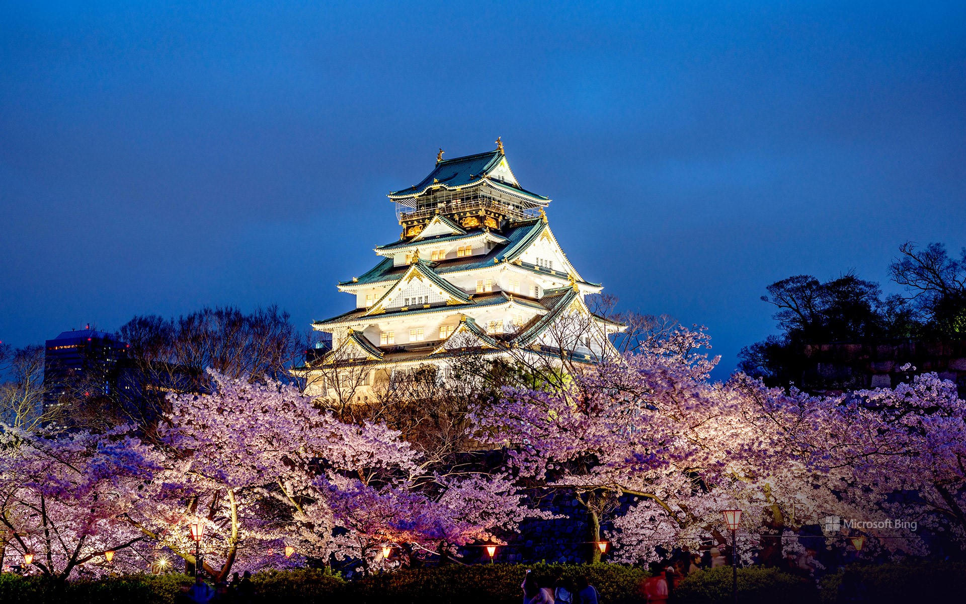 Osaka Castle Wallpapers