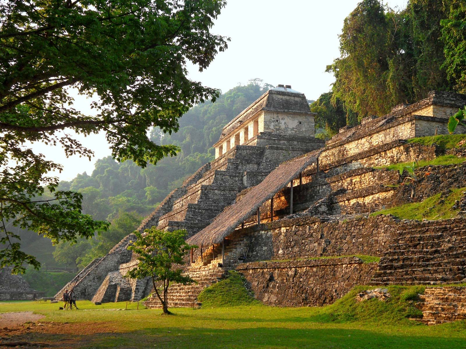 Palenque Wallpapers