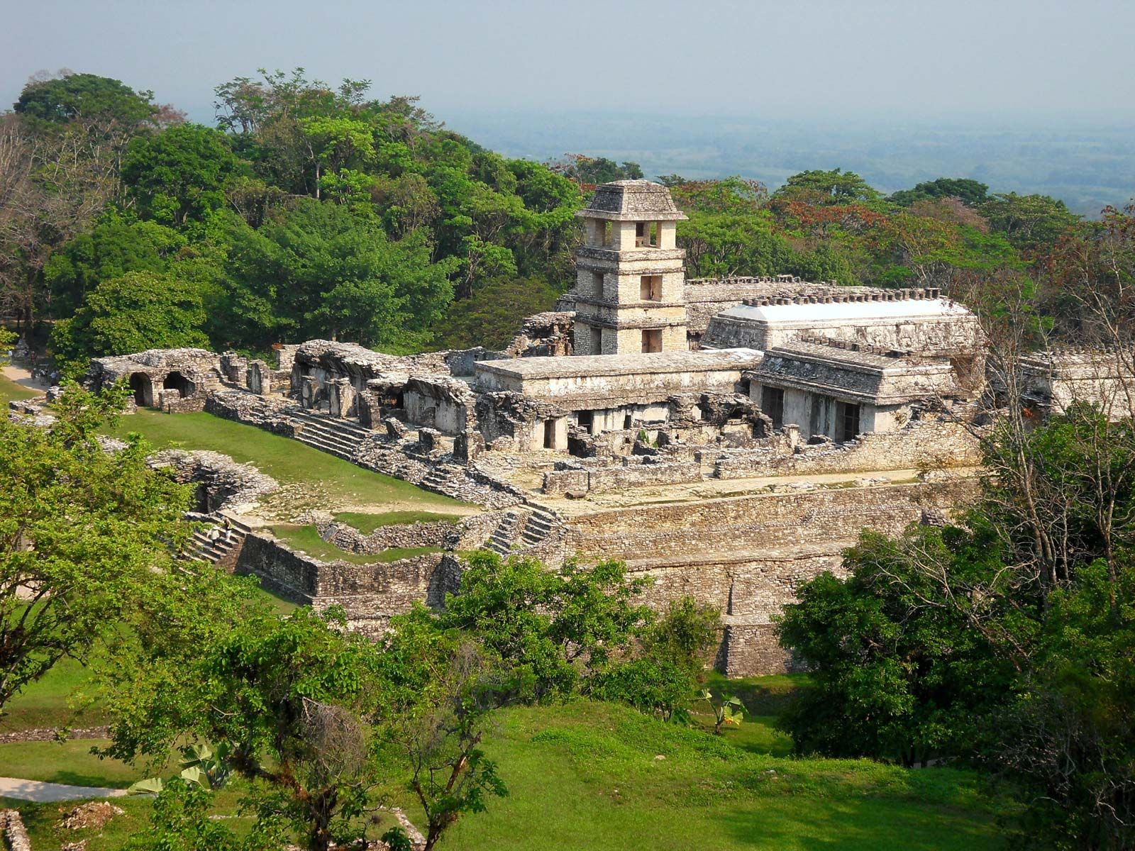 Palenque Chiapas Mexico Wallpapers