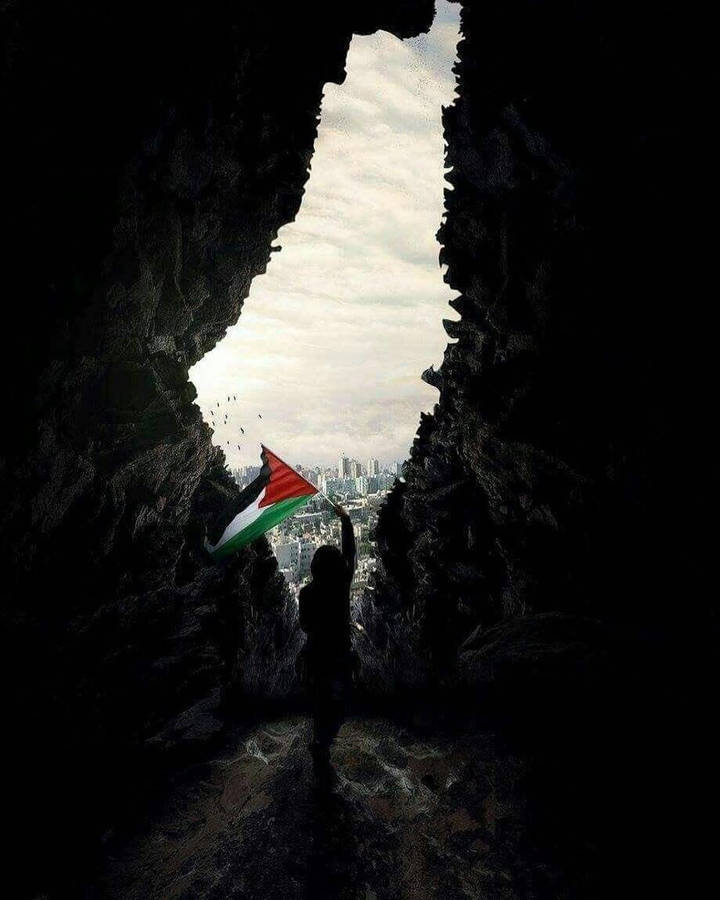 Palestine Wallpapers