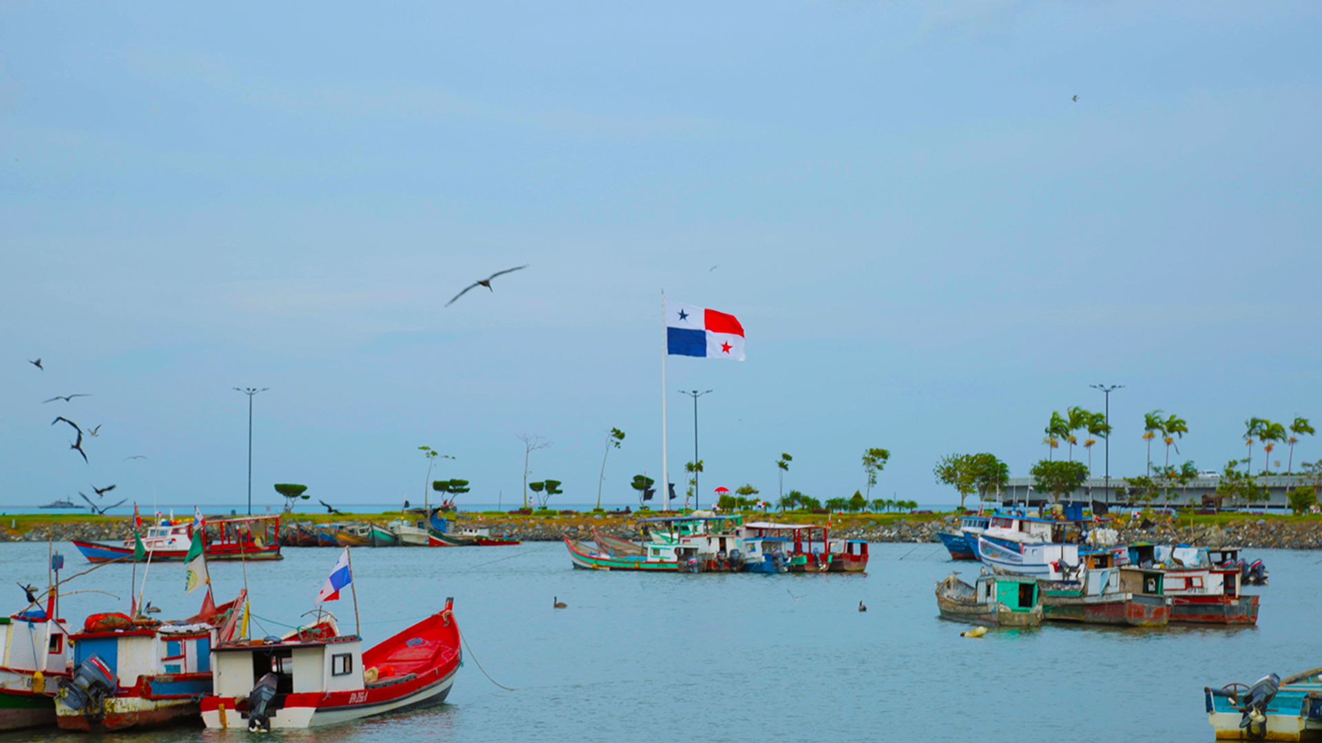 Panama Flag Wallpapers