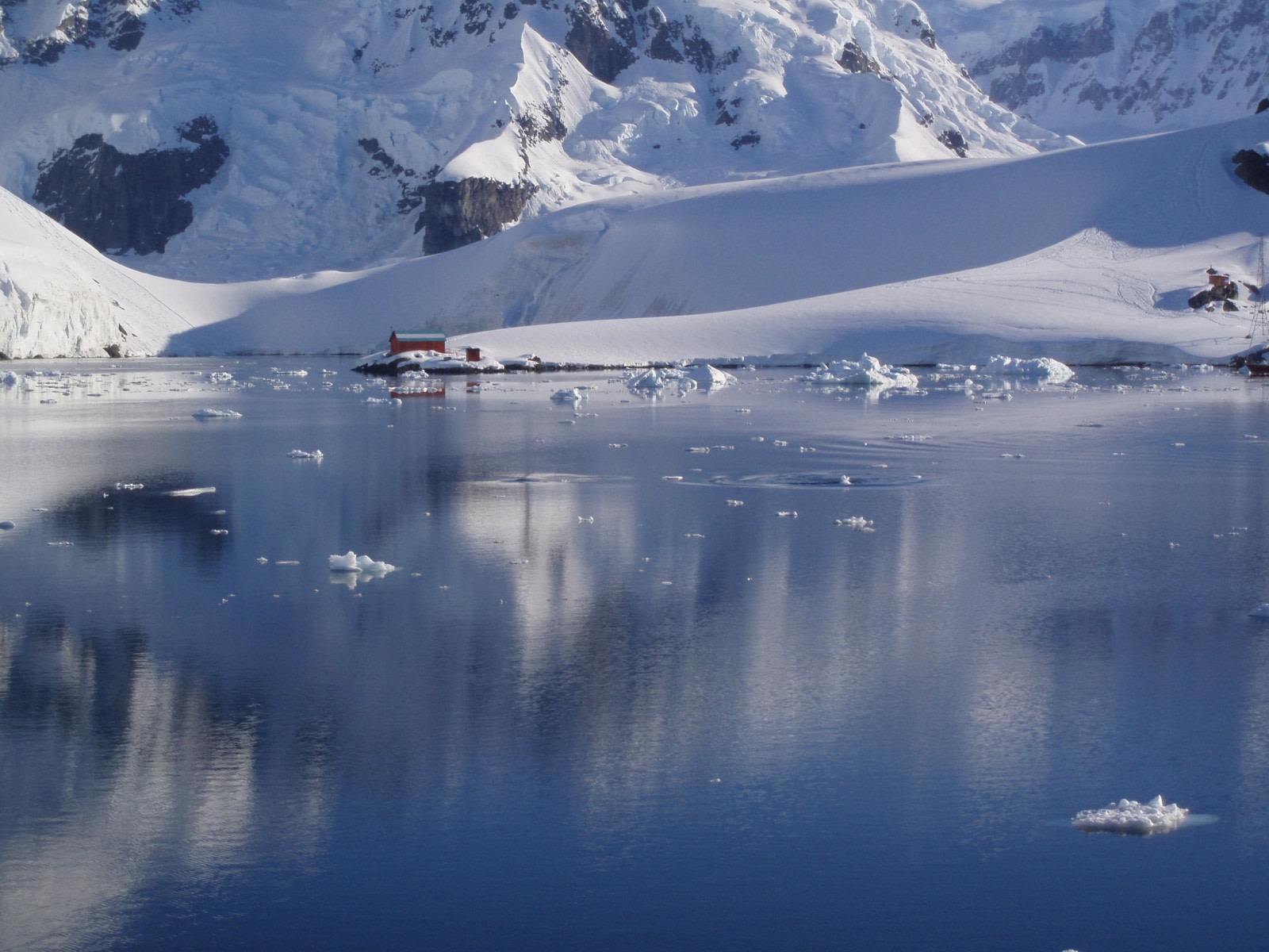 Paradise Bay Antarctica Wallpapers