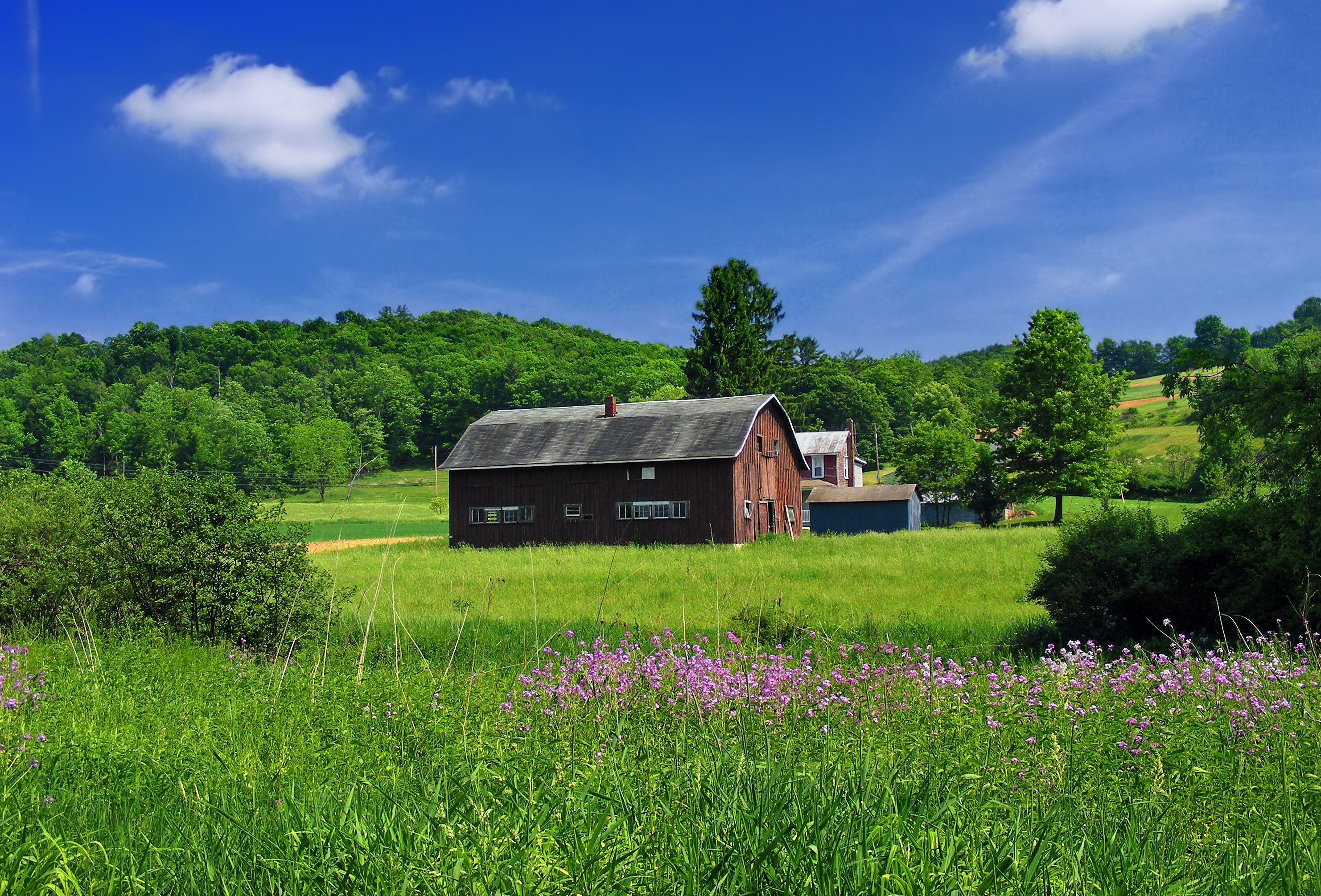 Pennsylvania Wallpapers