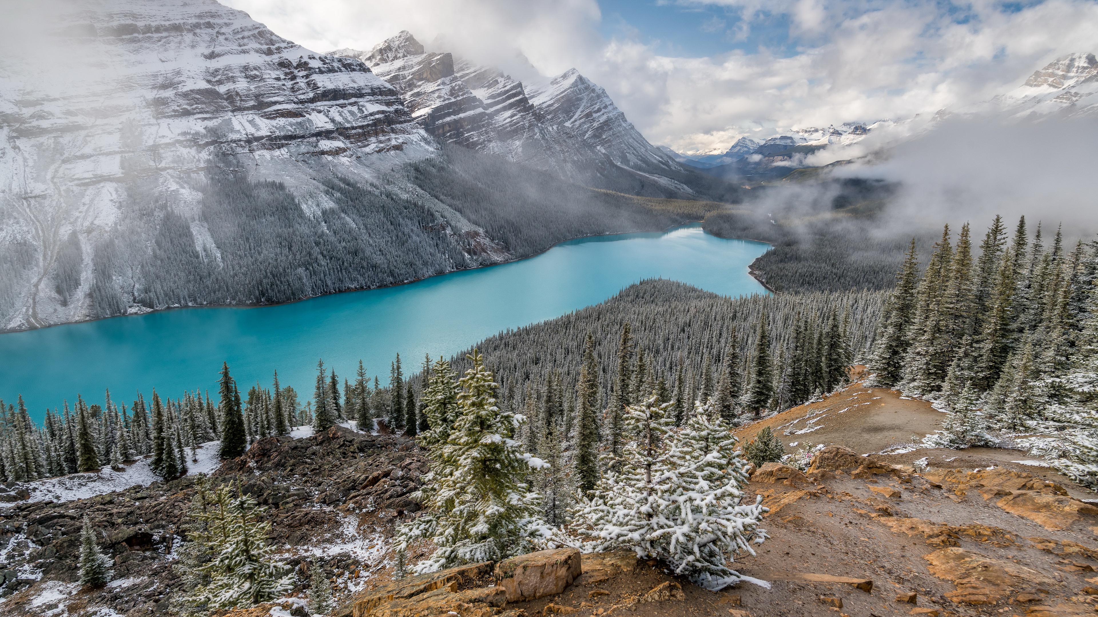 Peyto Lake 4K Wallpapers