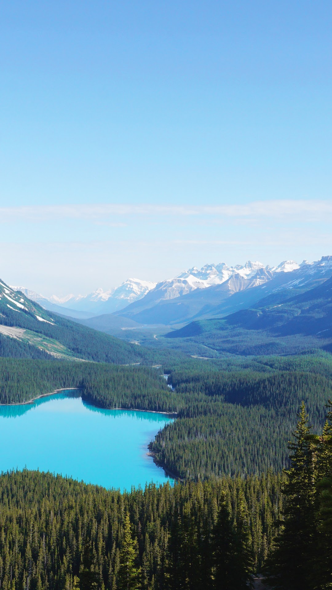 Peyto Lake 4K Wallpapers