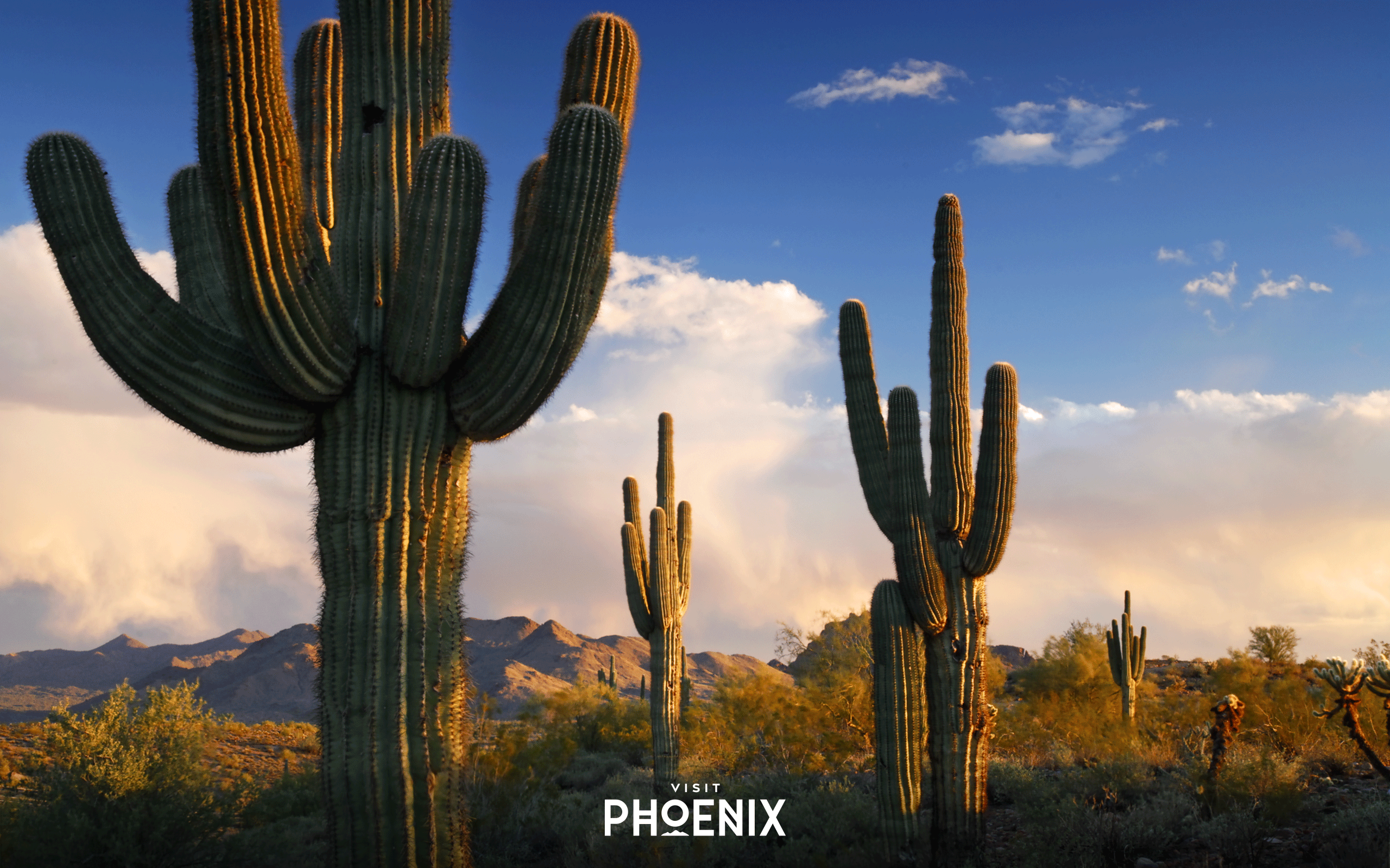 Phoenix Arizona Wallpapers