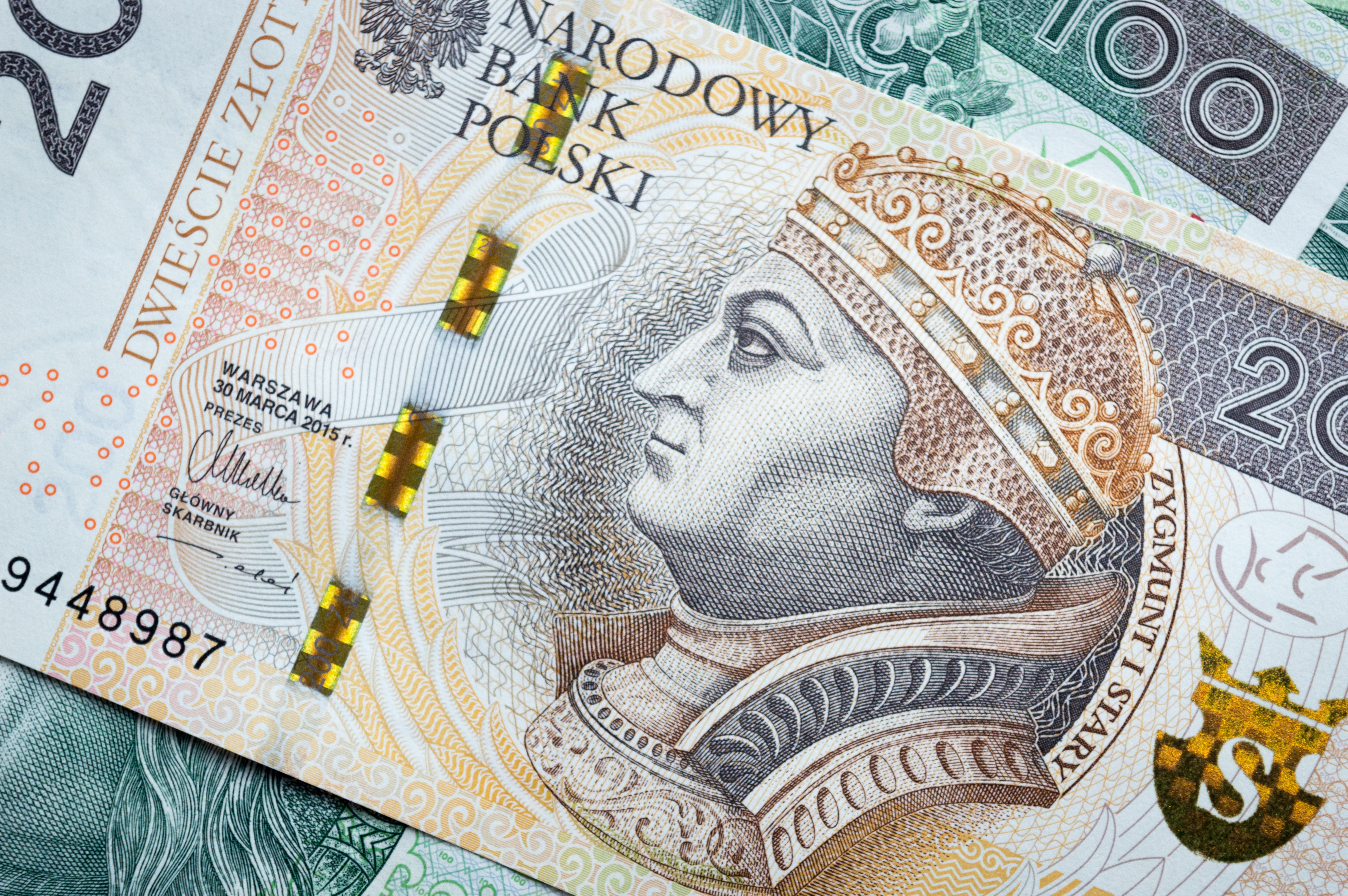 Polish Zloty Wallpapers