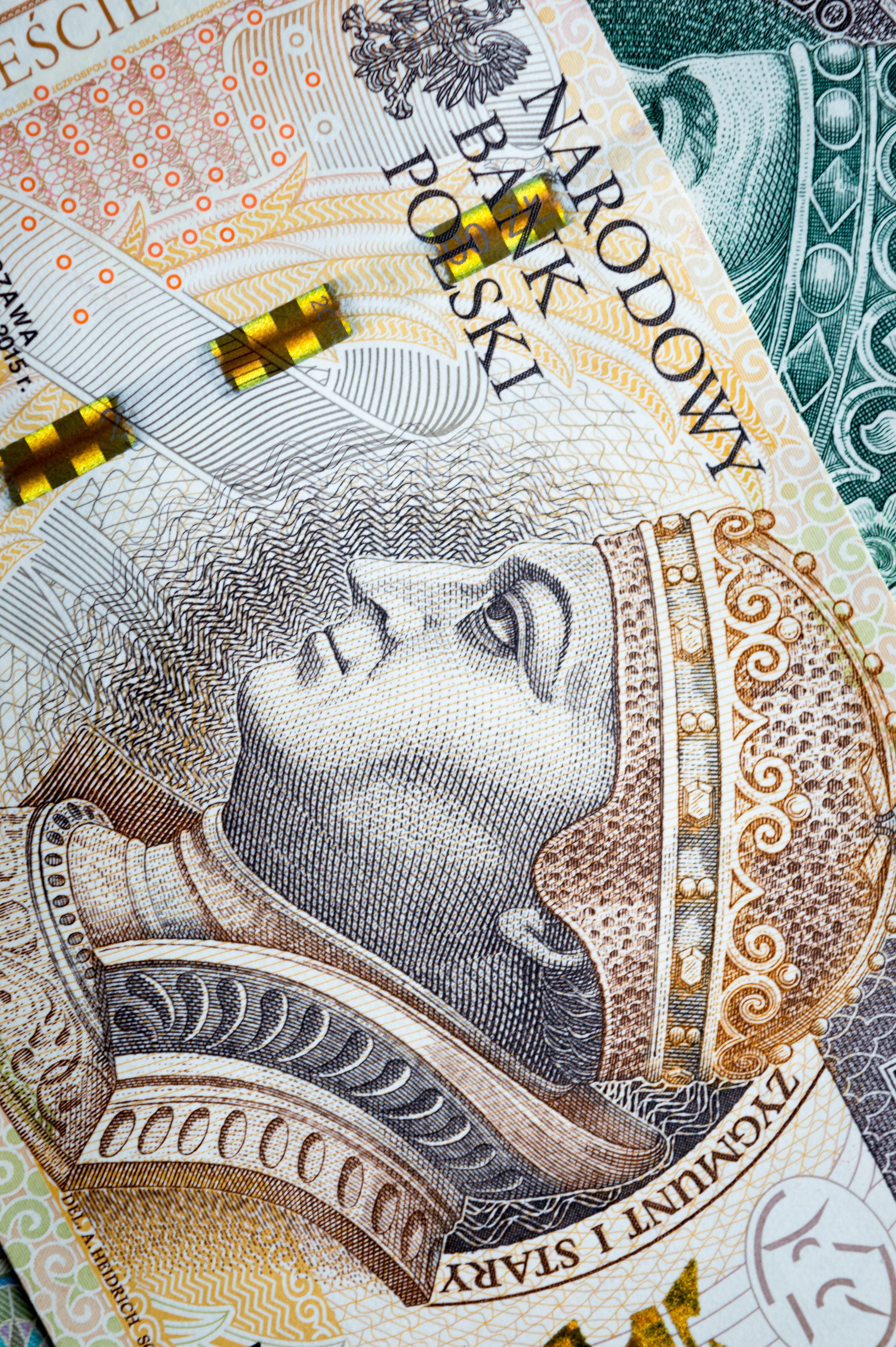 Polish Zloty Wallpapers