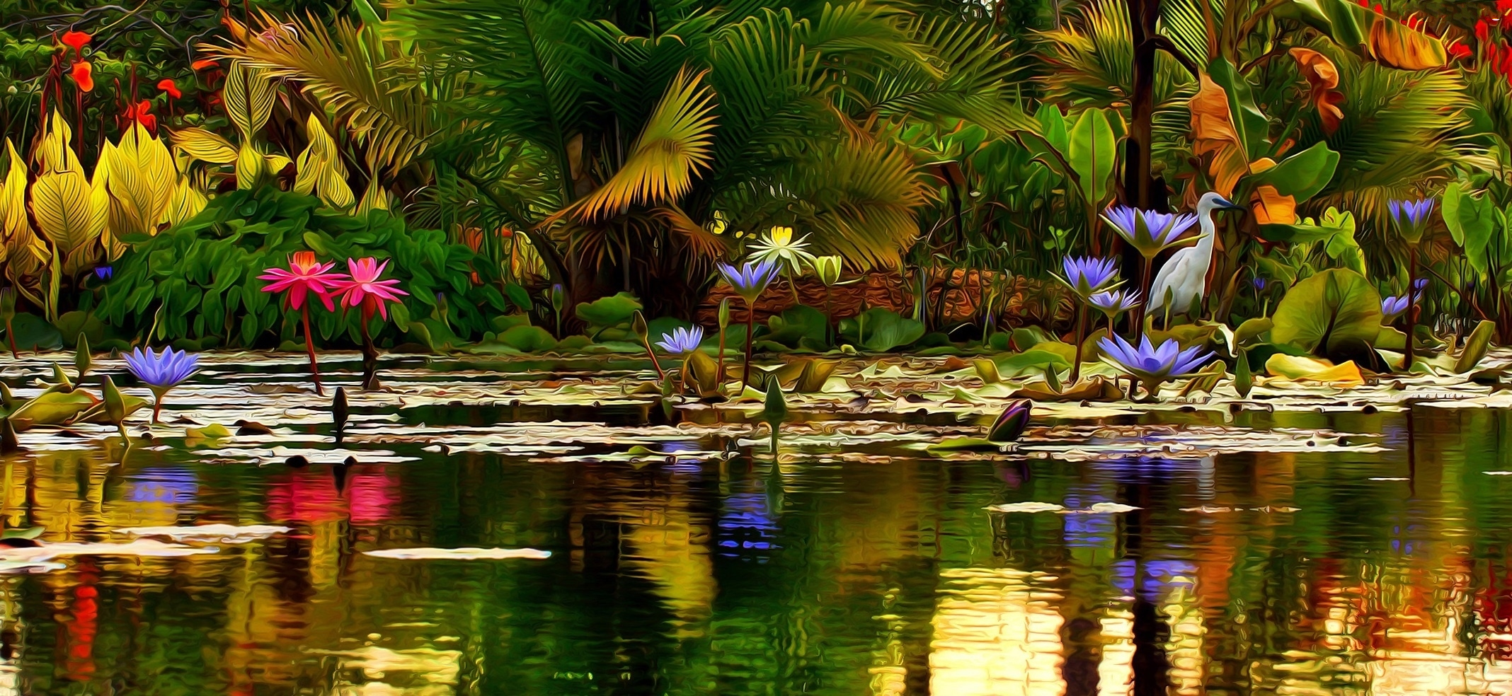 Pond Wallpapers