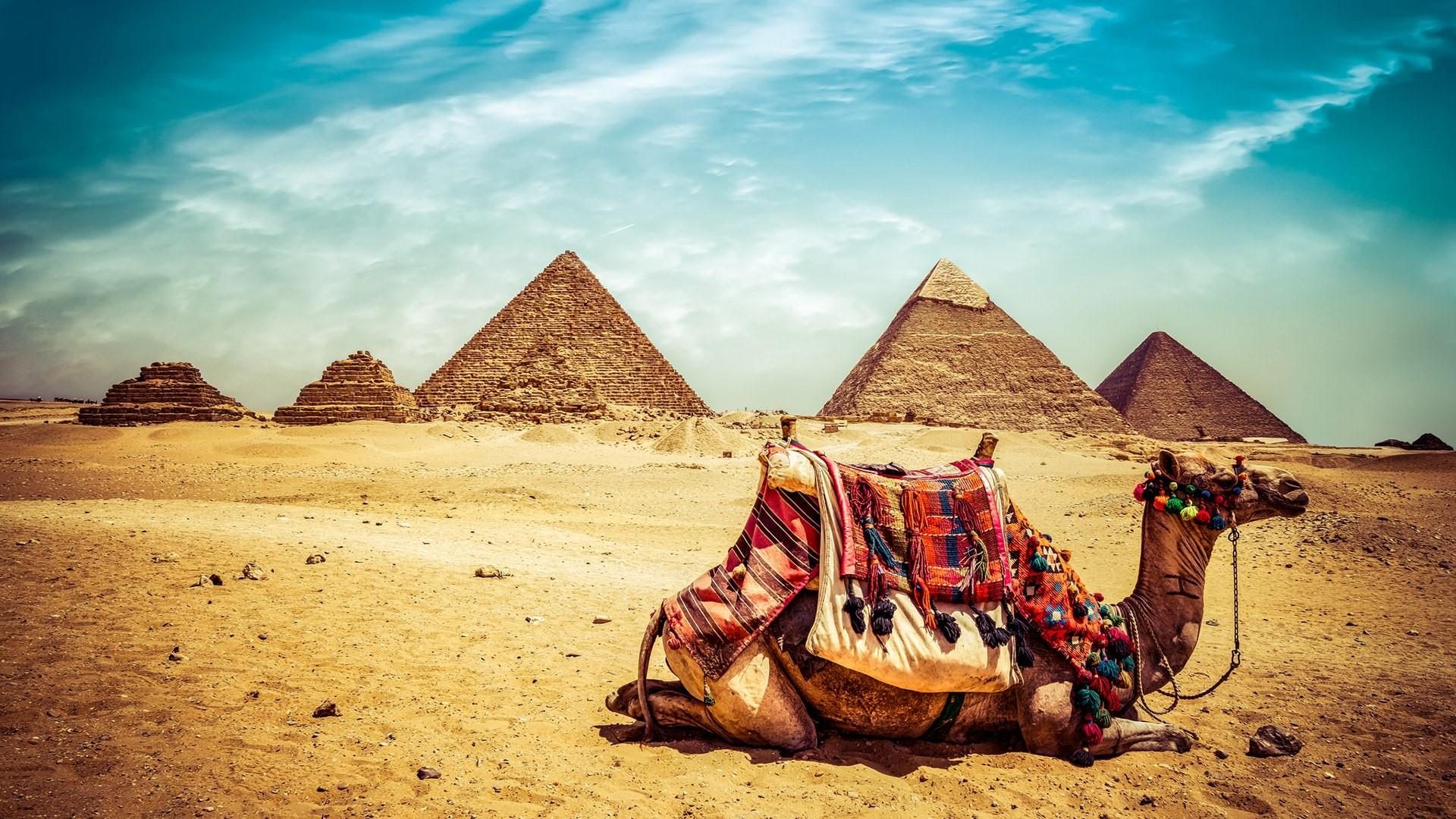 Pyramids Of Giza Wallpapers