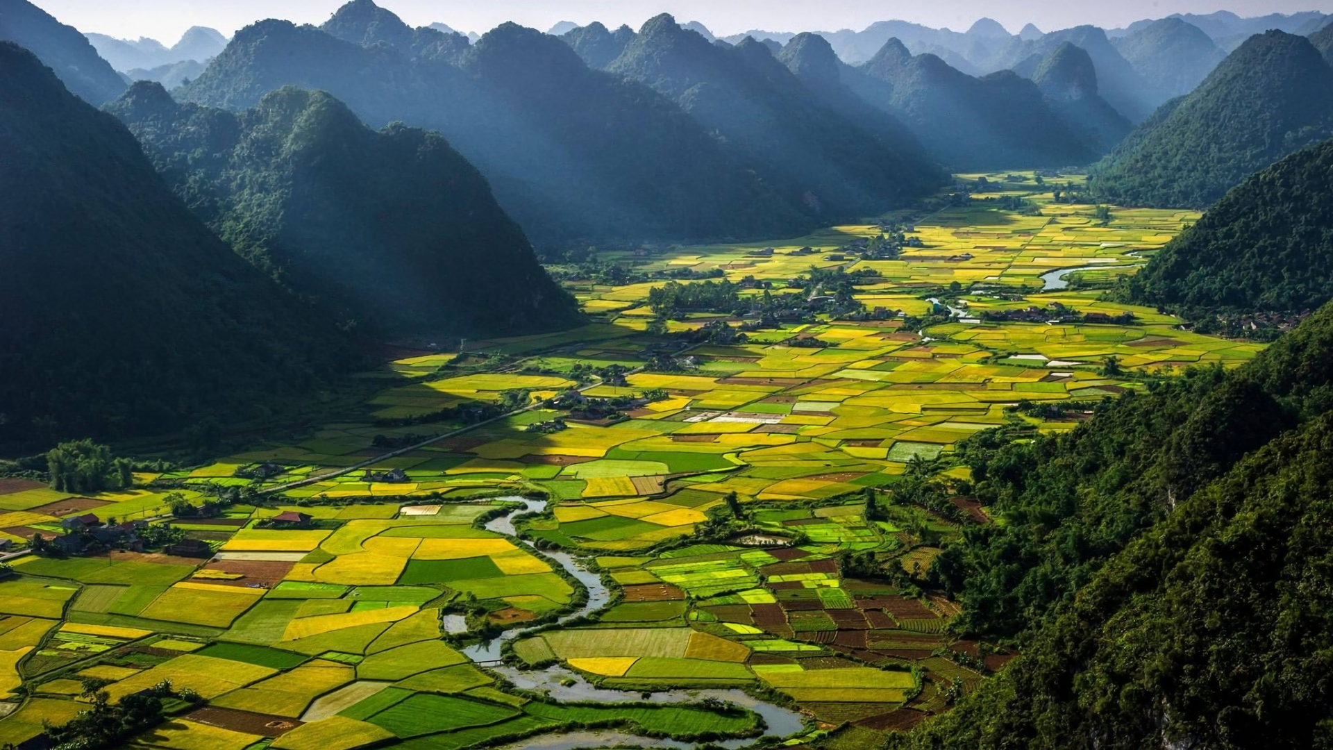 Rice Terrace Wallpapers