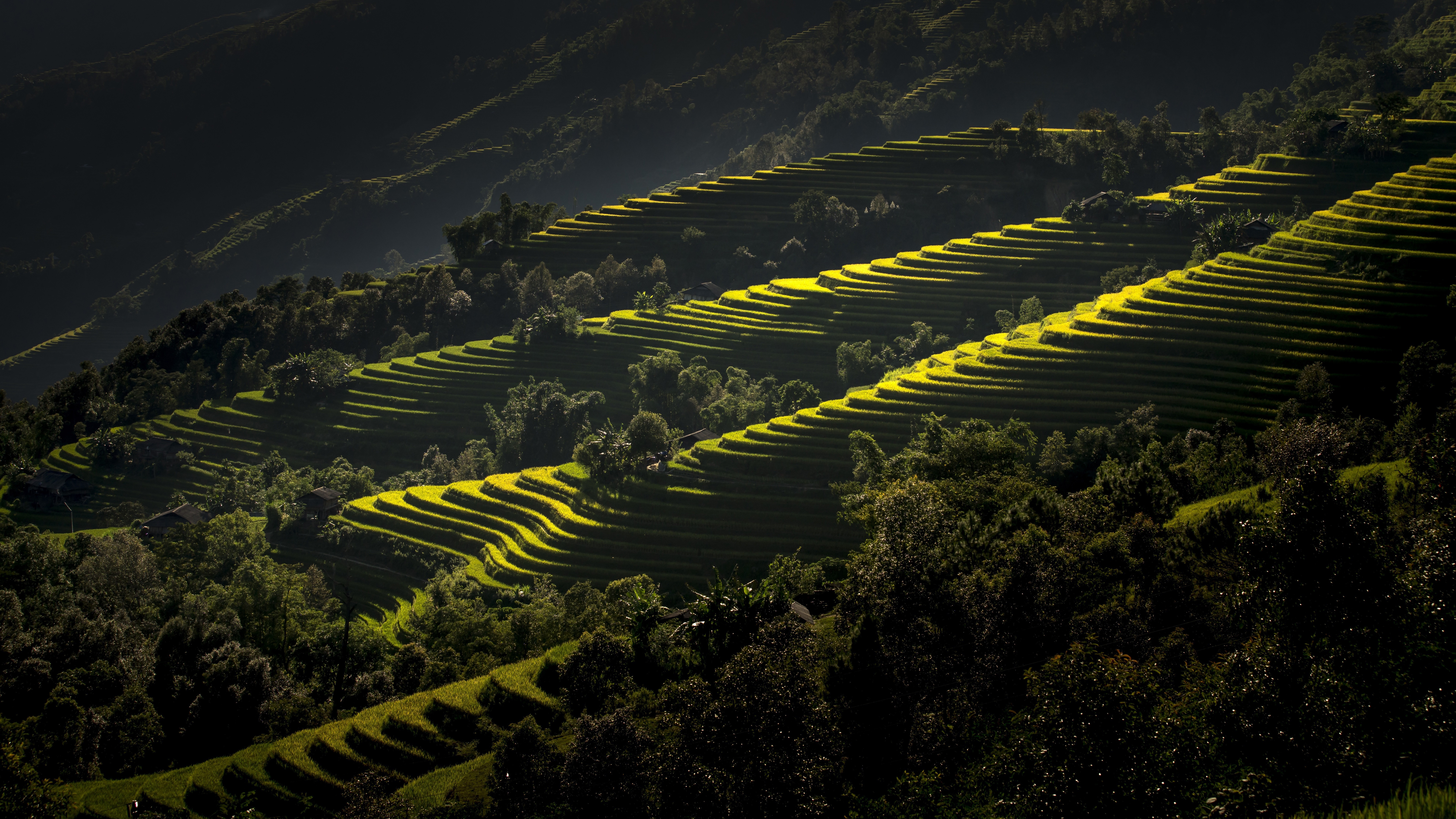 Rice Terrace Wallpapers