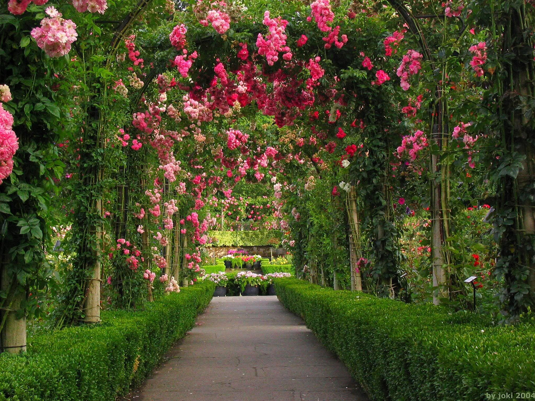 Rose Garden Palace Wallpapers