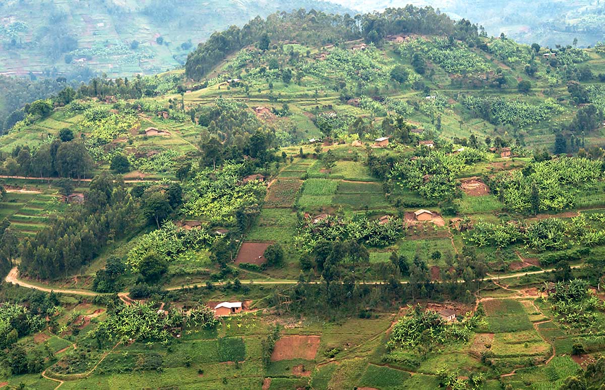 Rwanda Wallpapers