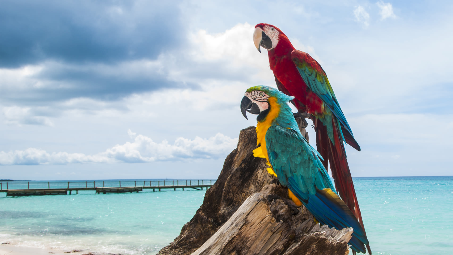 Saint Vincent And The Grenadines Wallpapers