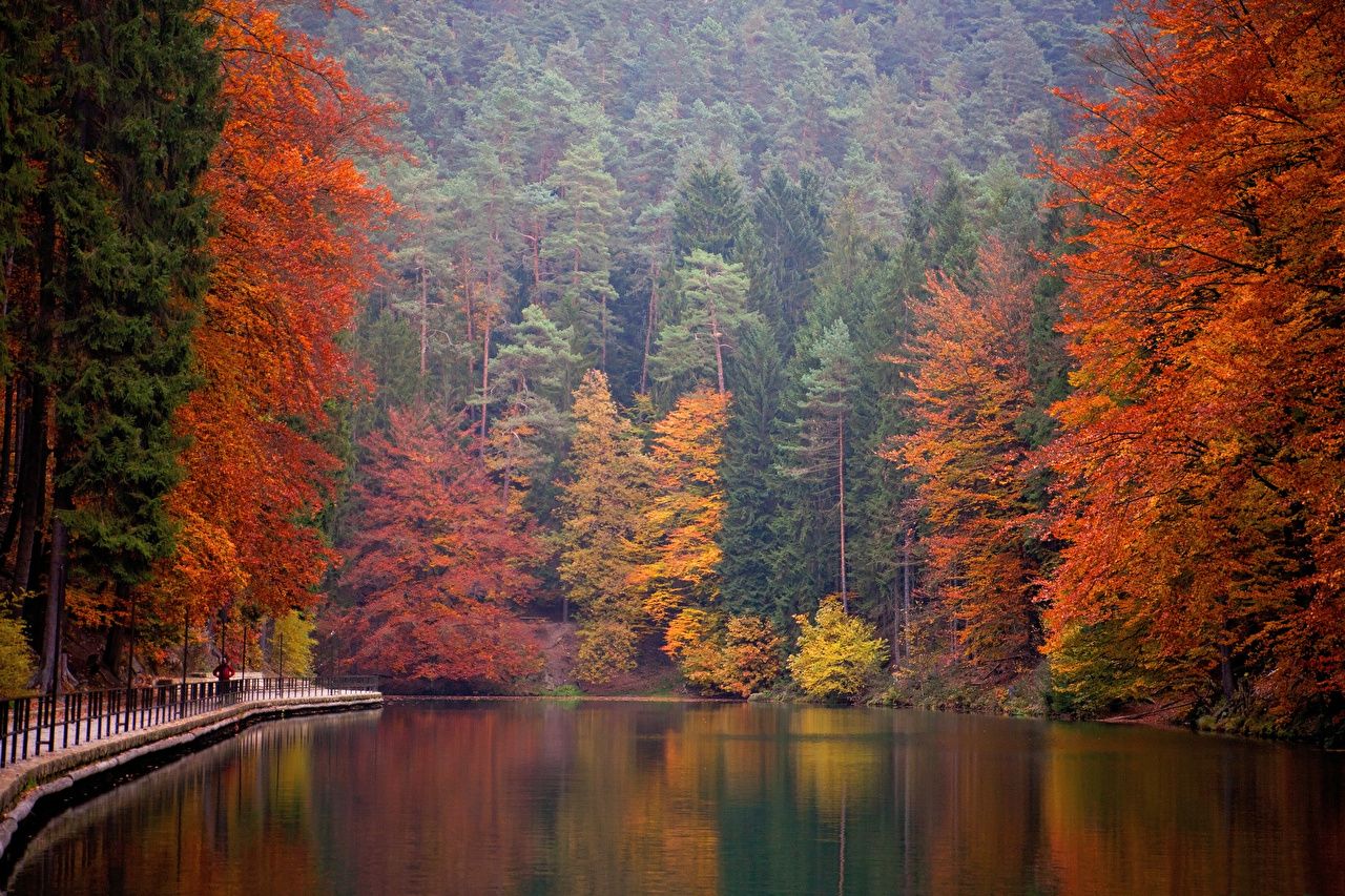 Saxon Switzerland Wallpapers