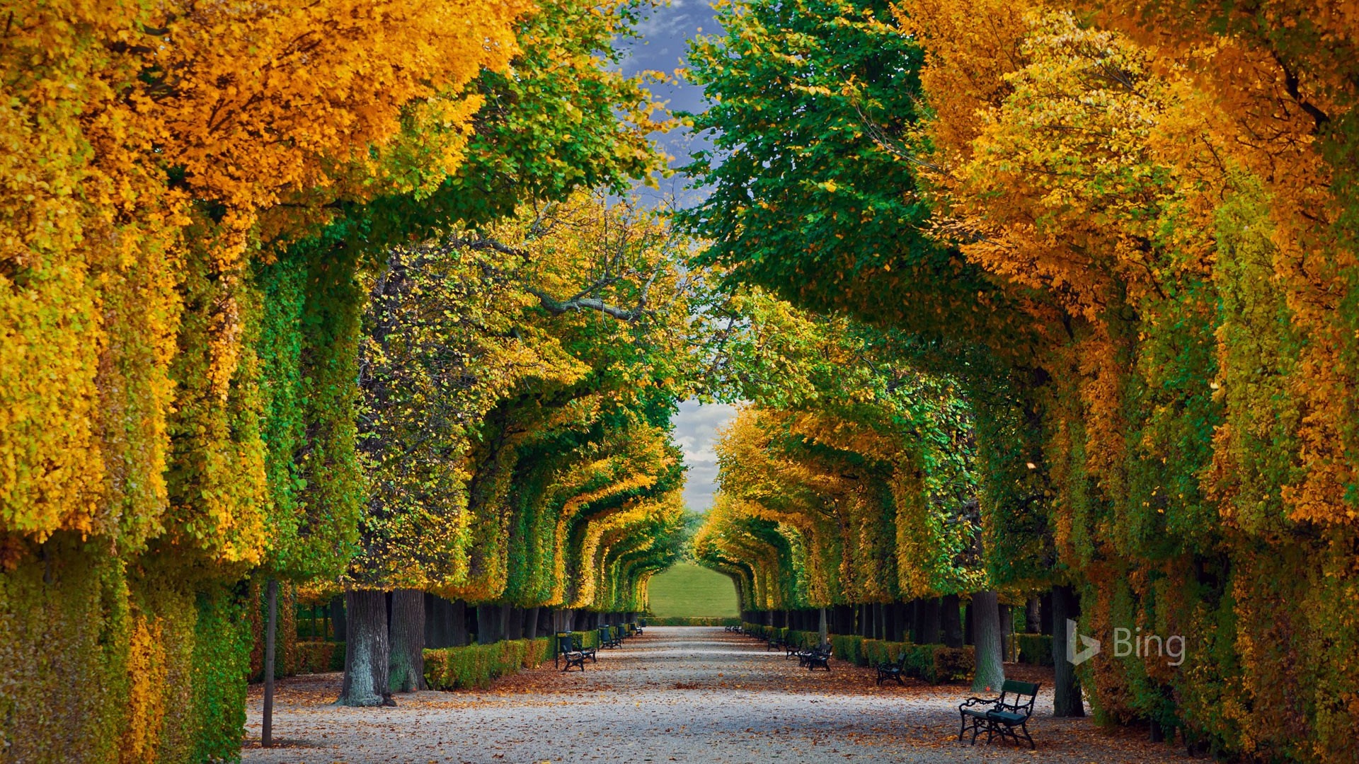 SchoNbrunn Palace Wallpapers