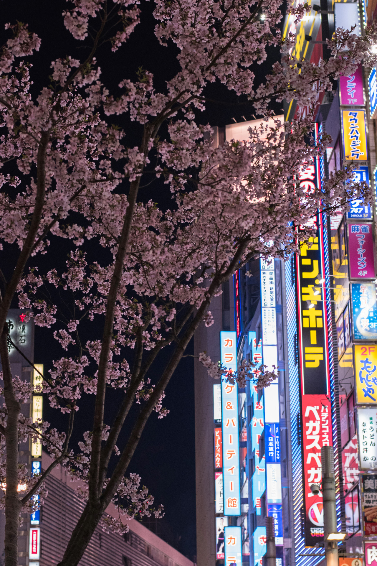 Shinjuku Tokyo Wallpapers