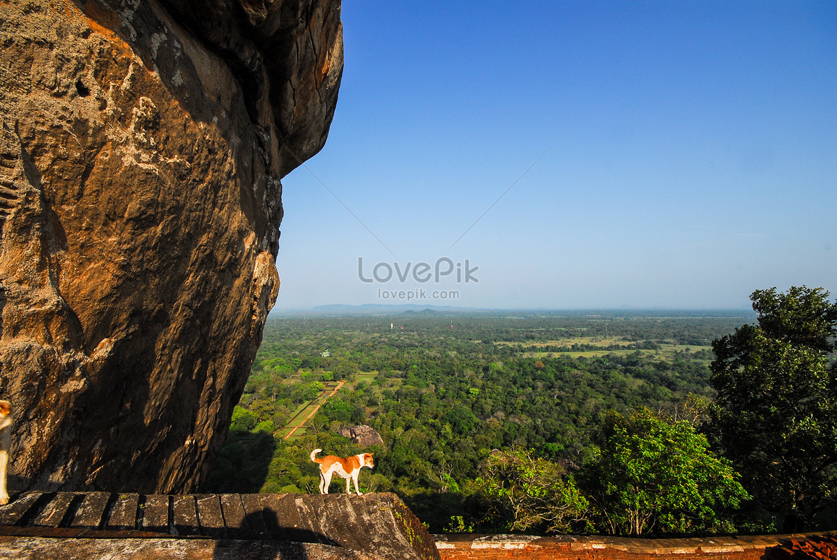 Sigiriya Wallpapers