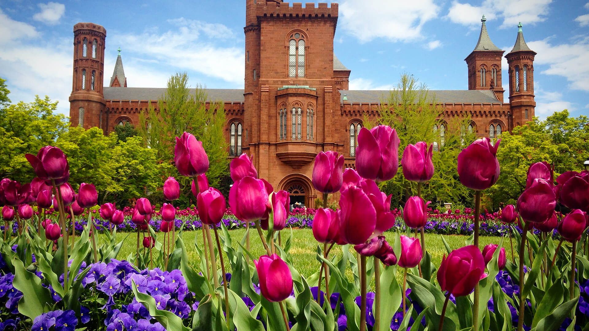 Smithsonian Wallpapers