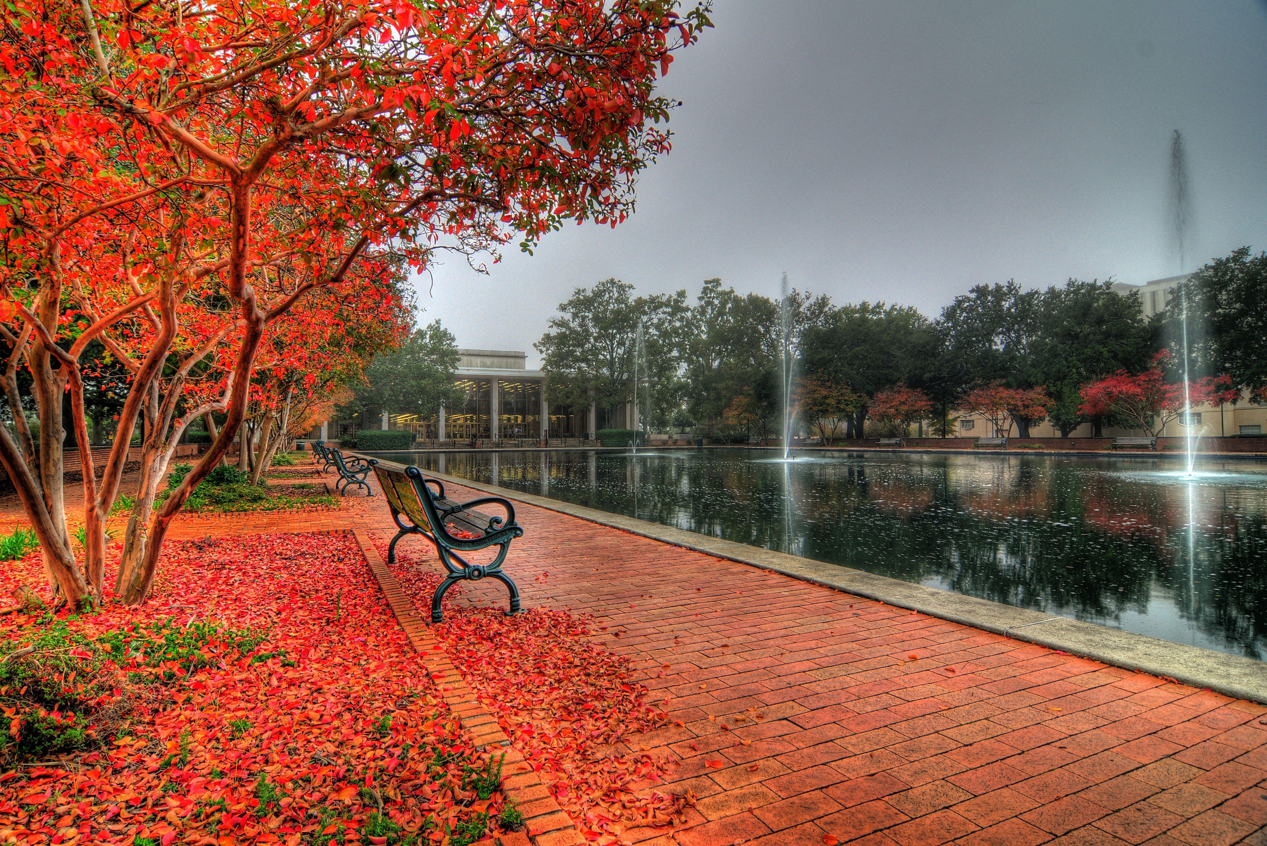 South Carolina State Wallpapers