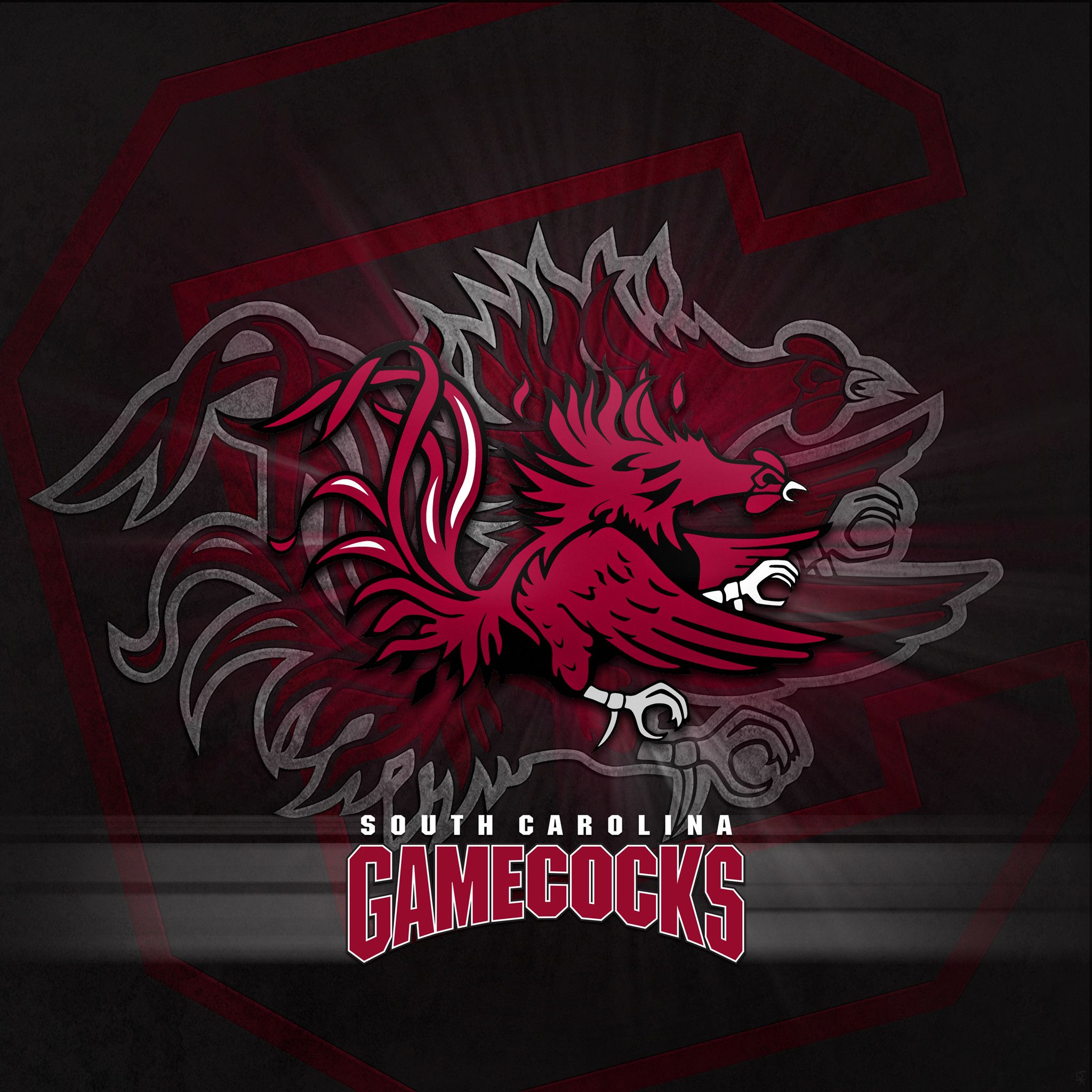 South Carolina State Wallpapers