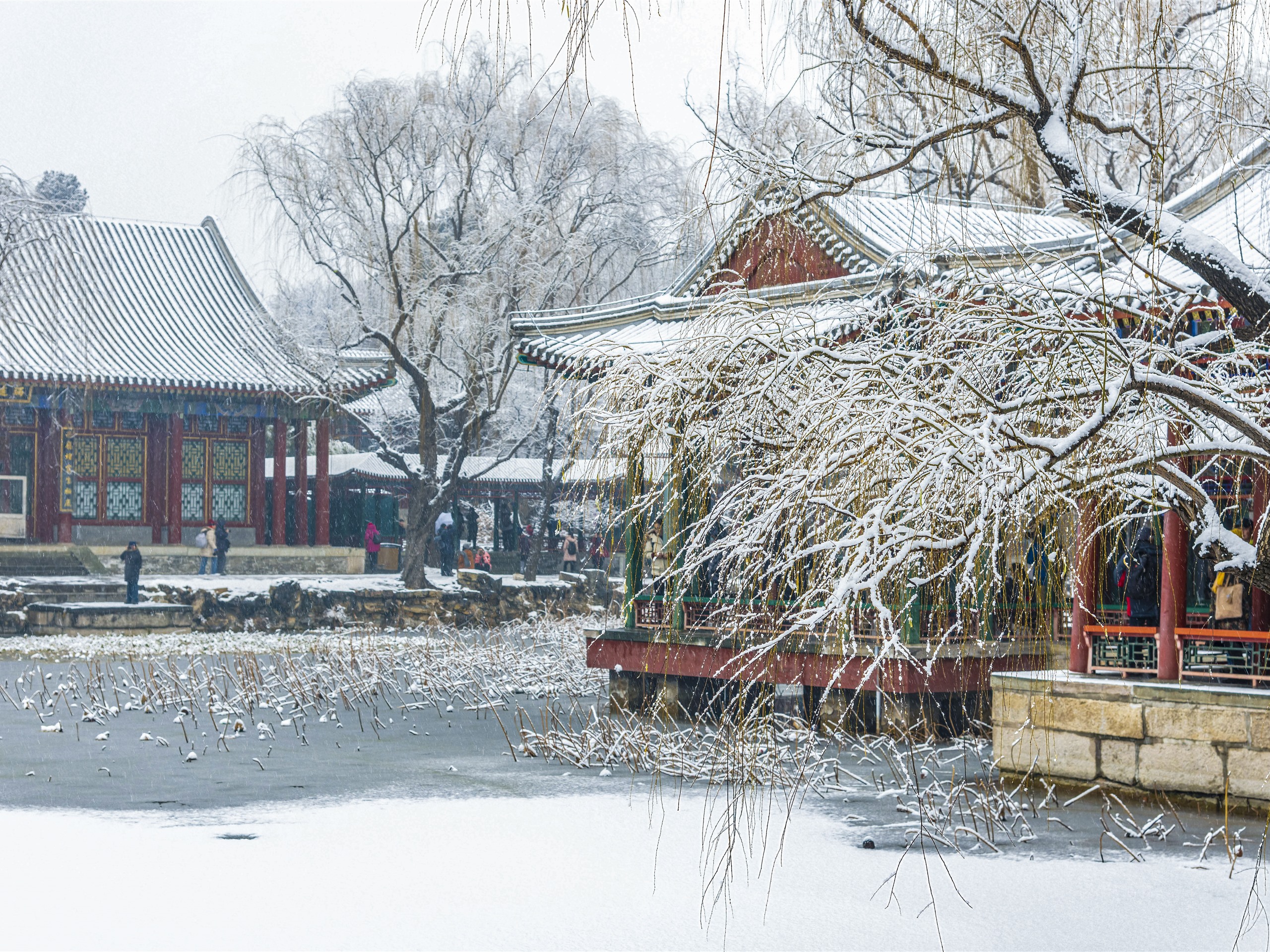 Summer Palace Wallpapers