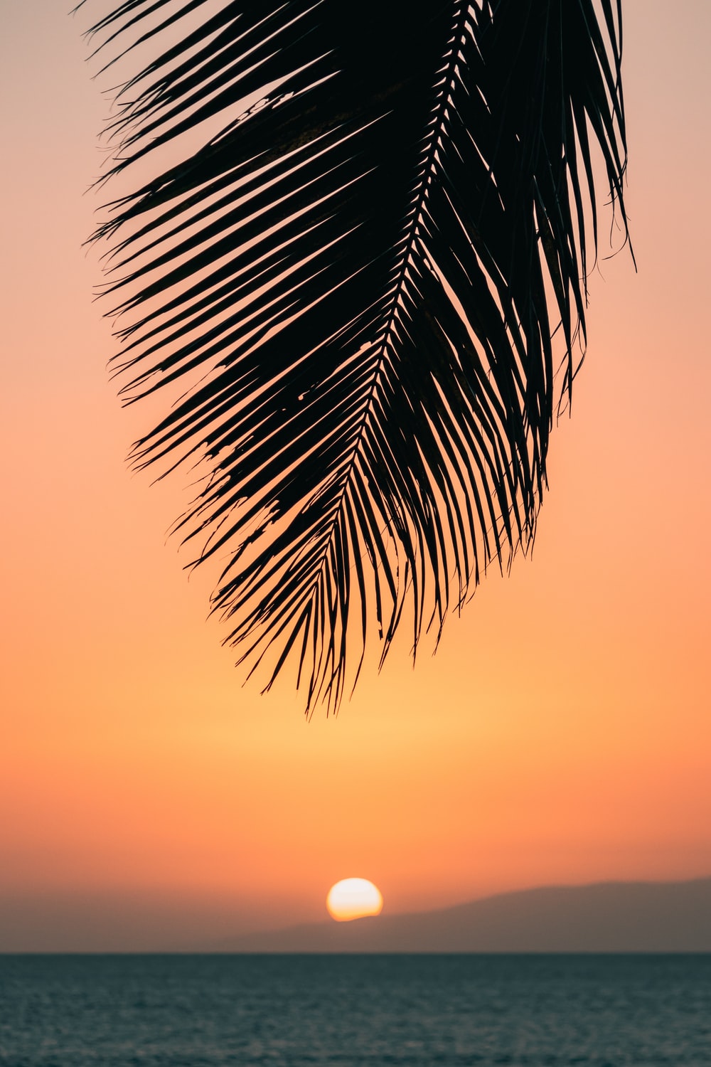 Sunrise In Hawaii Wallpapers