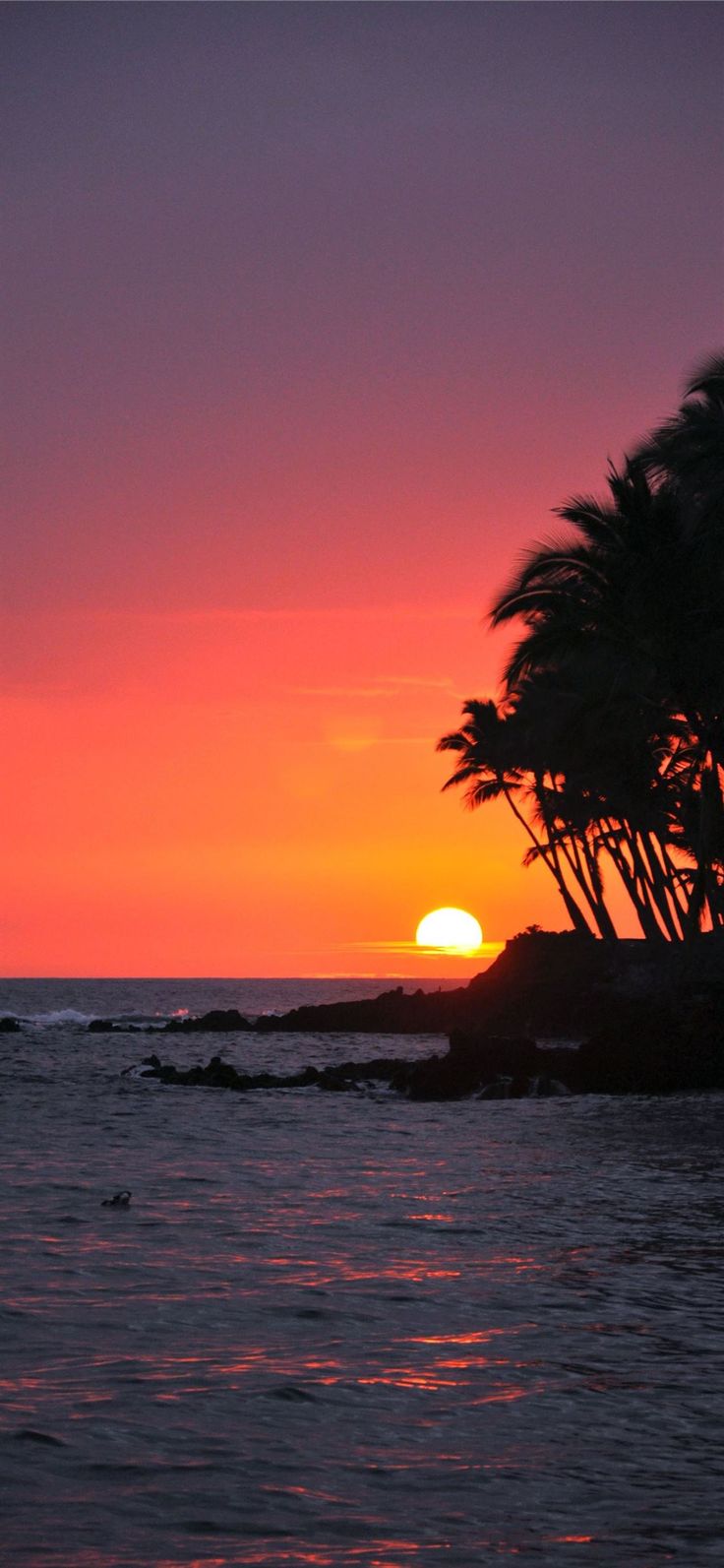 Sunrise In Hawaii Wallpapers