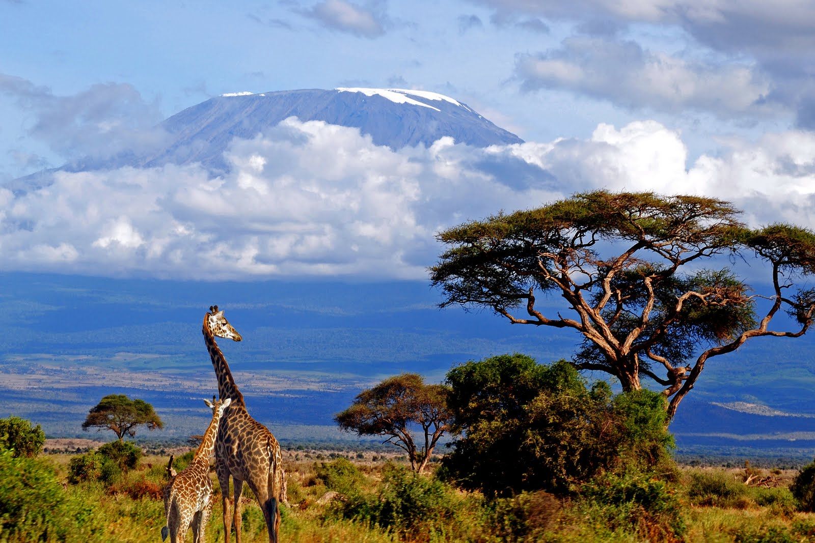 Tanzania Wallpapers