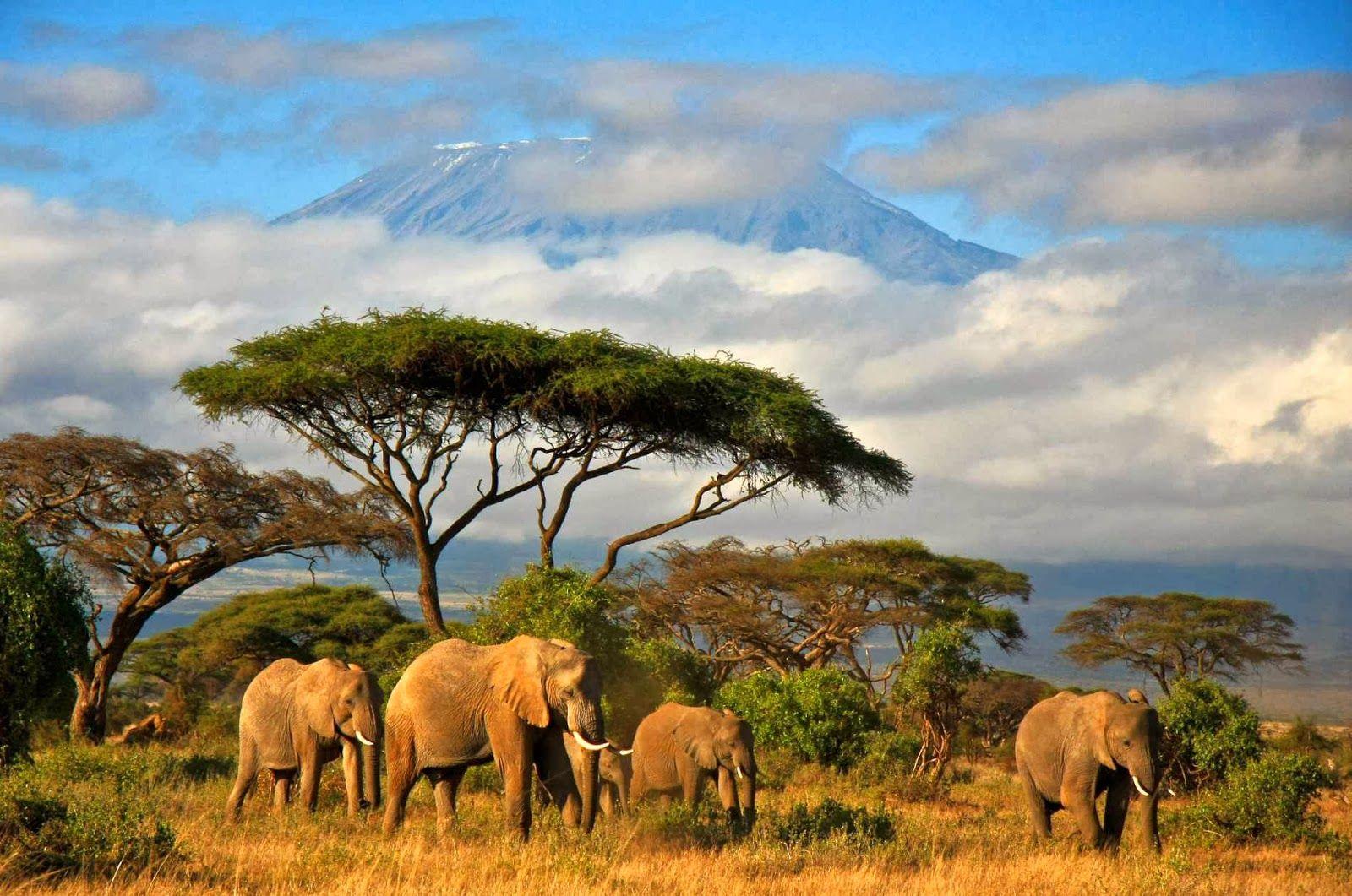 Tanzania Wallpapers