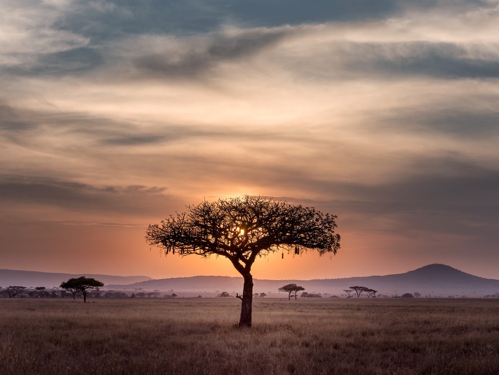 Tanzania Wallpapers