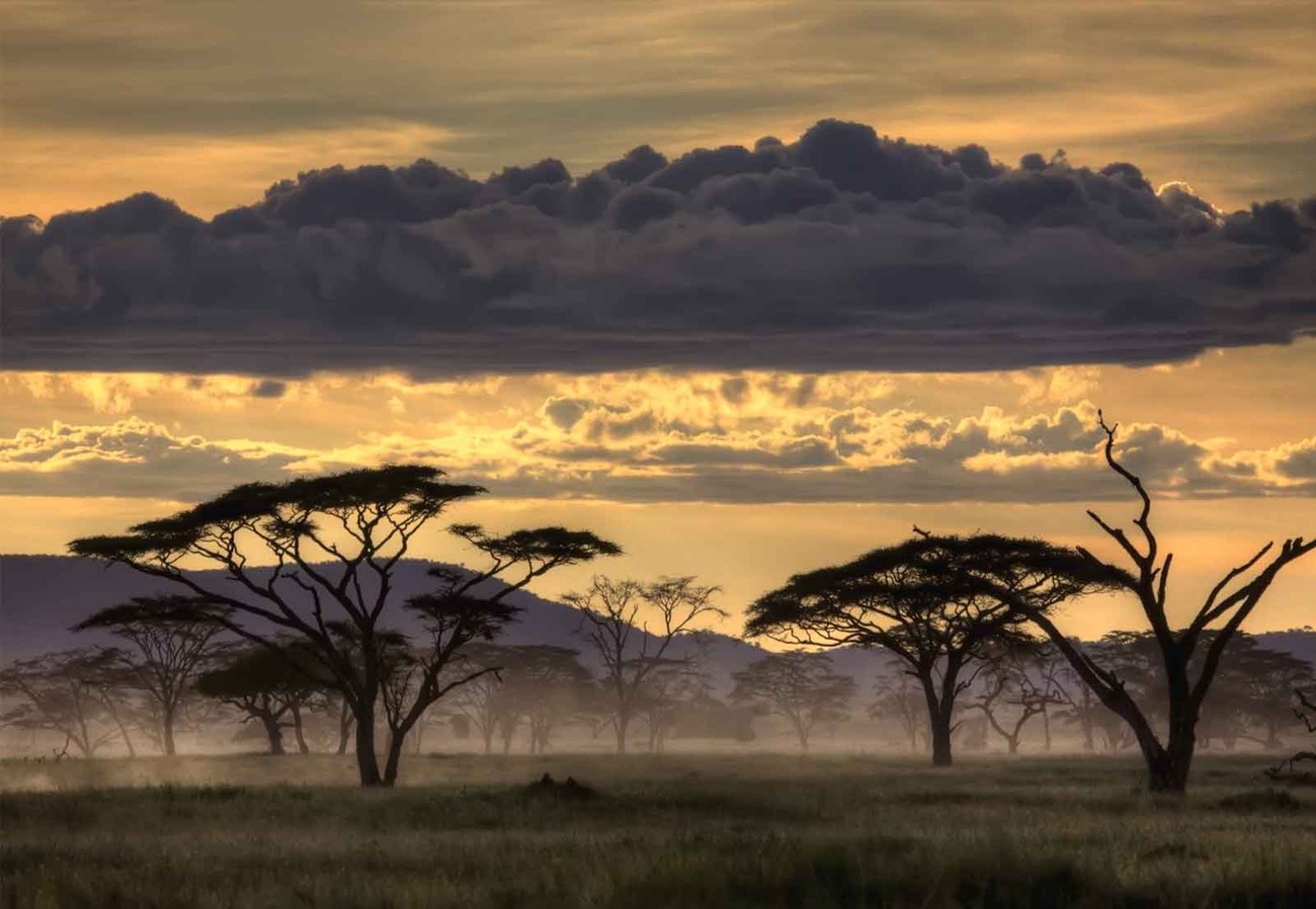 Tanzania Wallpapers