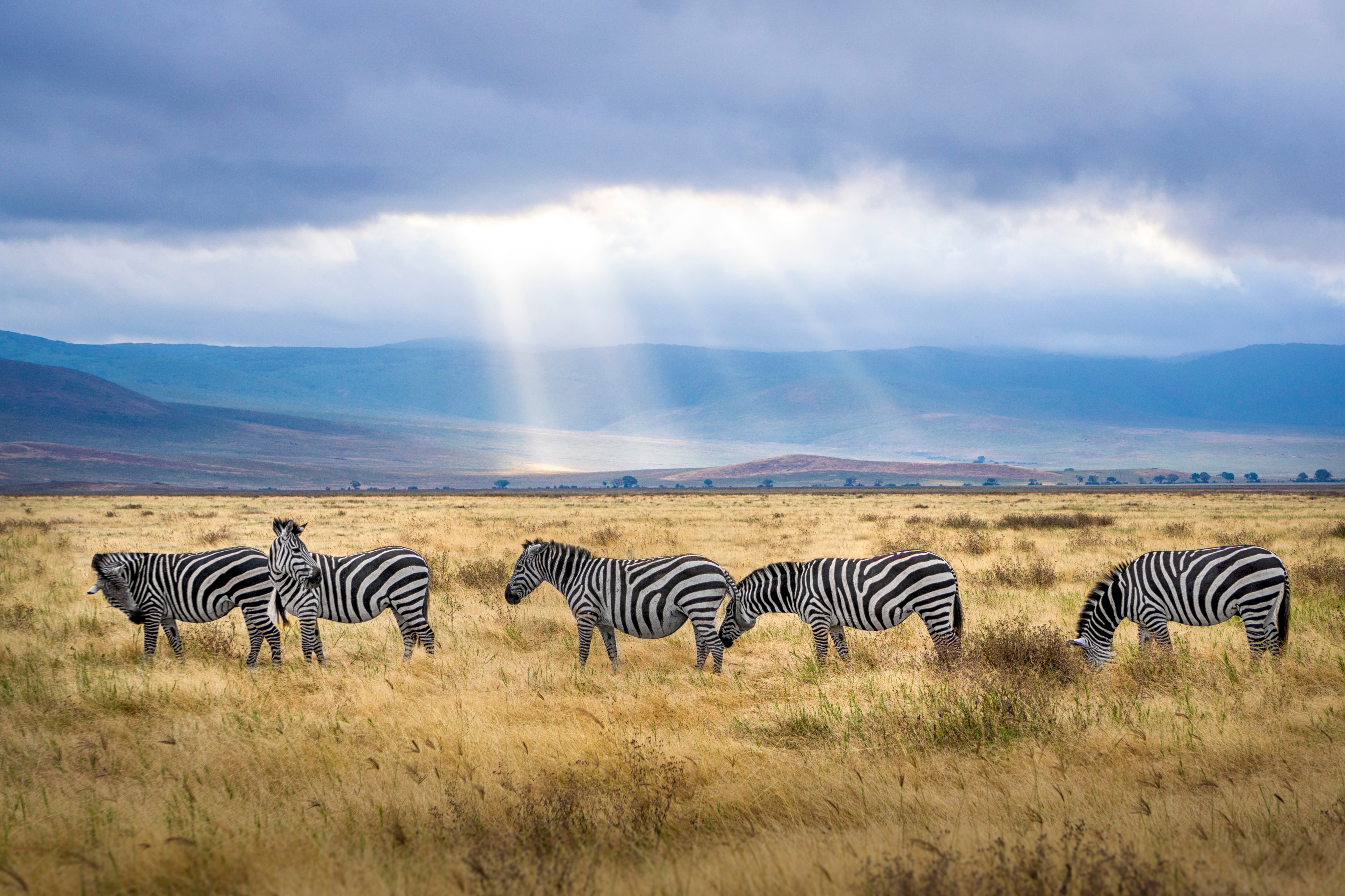 Tanzania Wallpapers