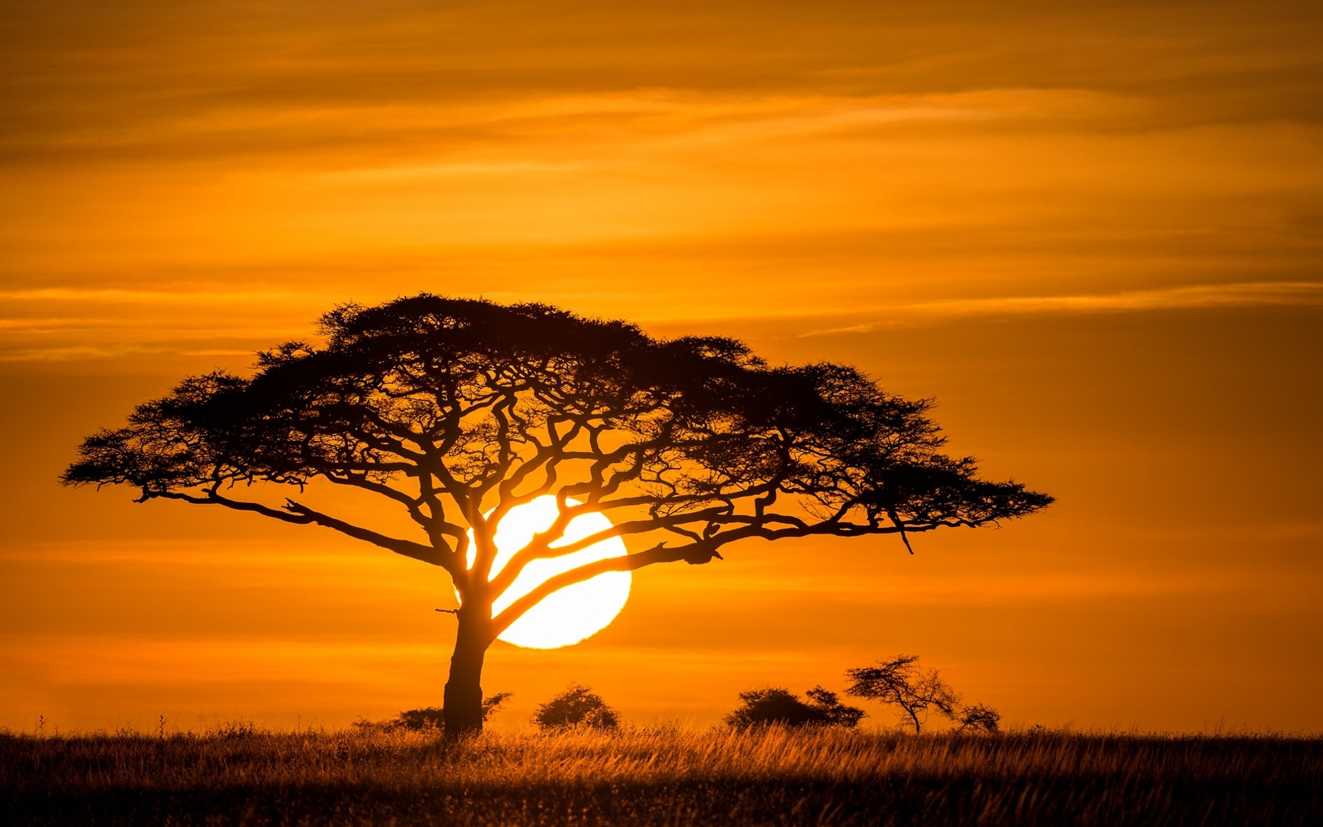 Tanzania Wallpapers