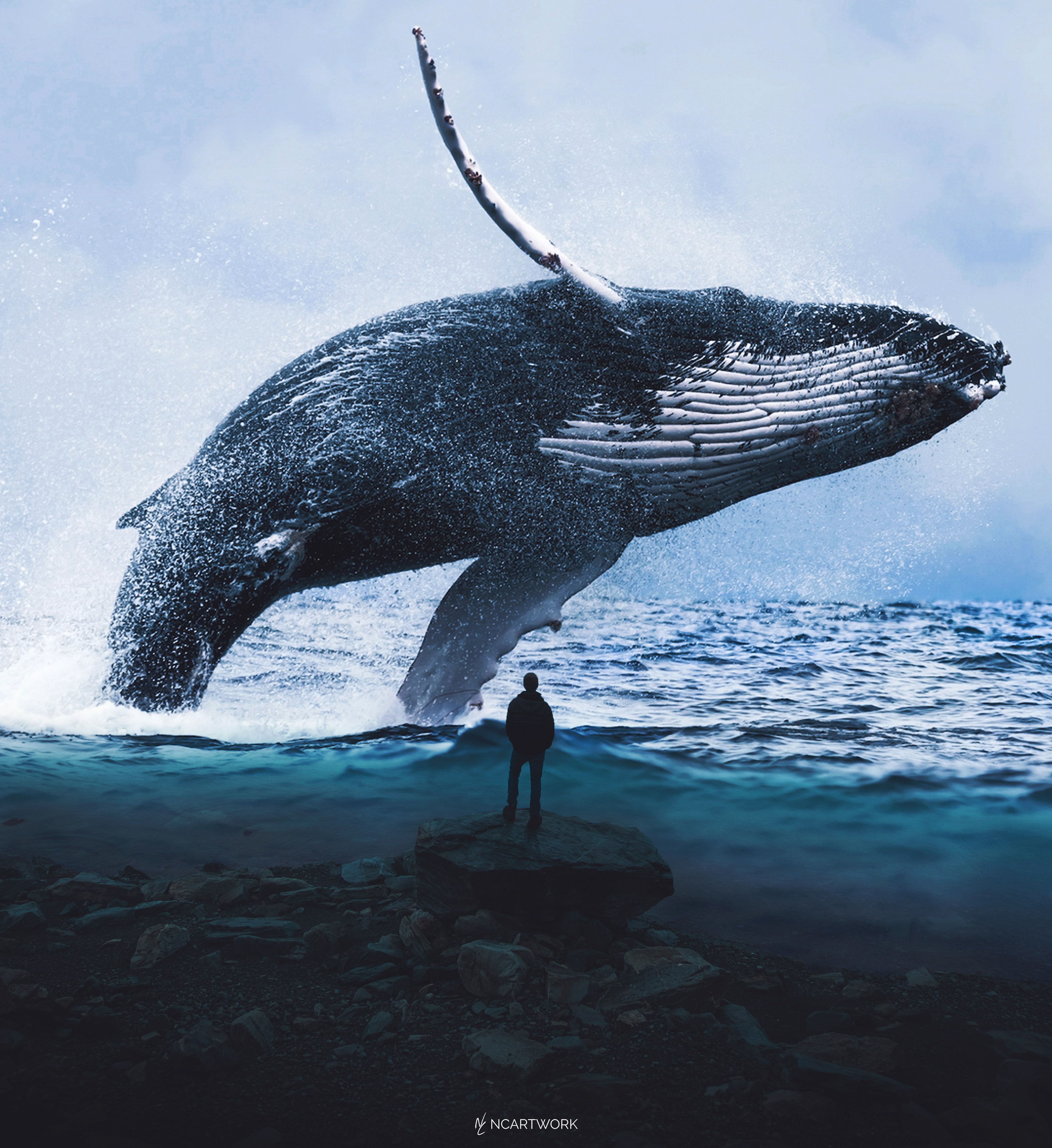 The Whale Norway Wallpapers