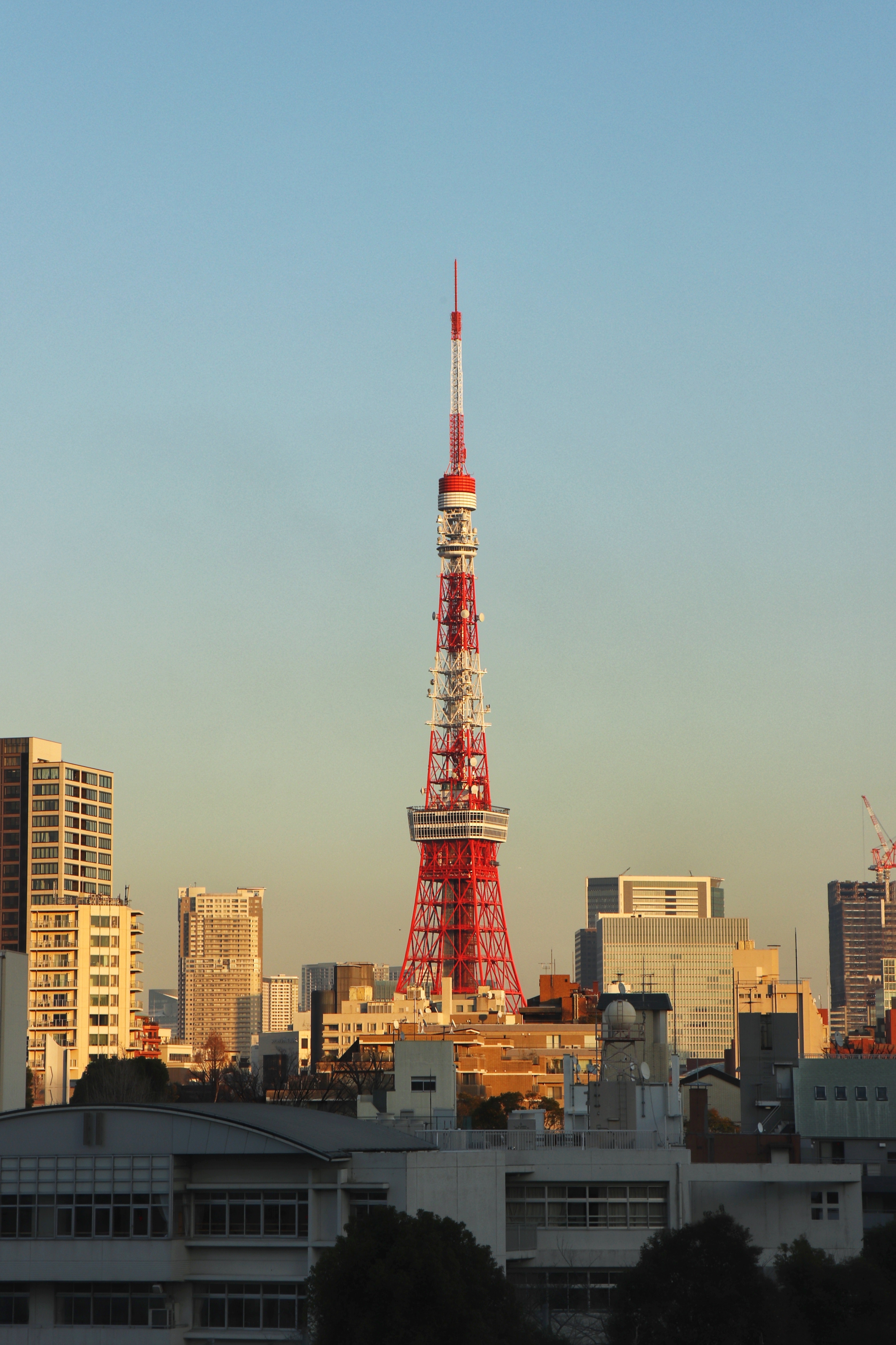 Tokyo Tower Wallpapers