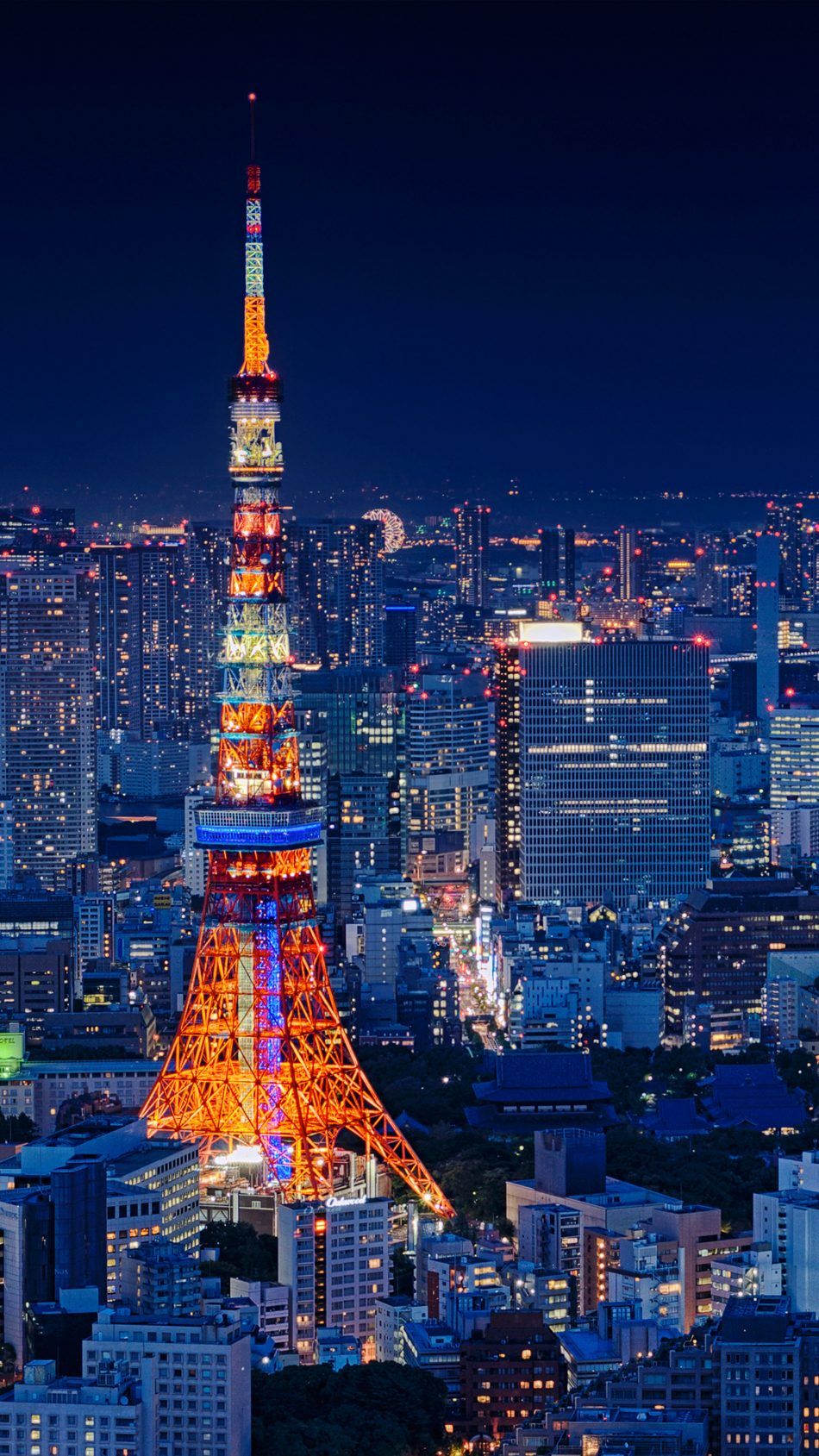 Tokyo Tower At Night Wallpapers