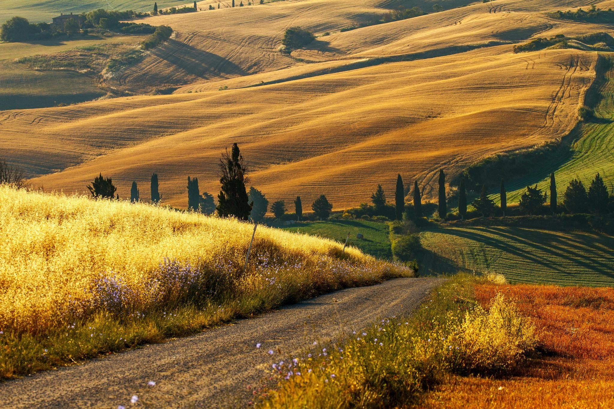 Tuscan Countryside Wallpapers