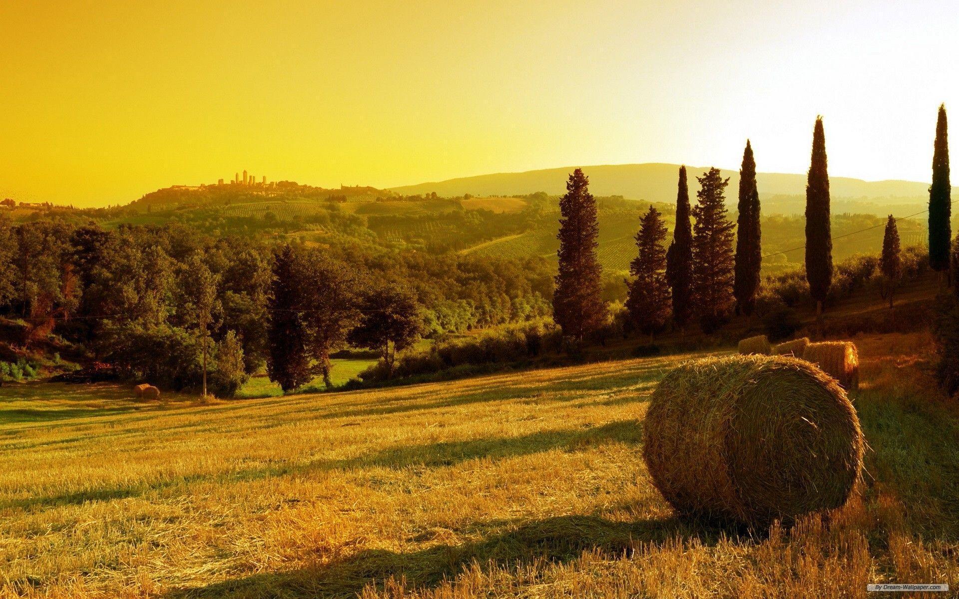 Tuscan Countryside Wallpapers