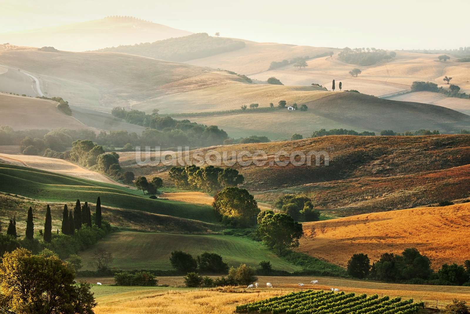 Tuscan Countryside Wallpapers