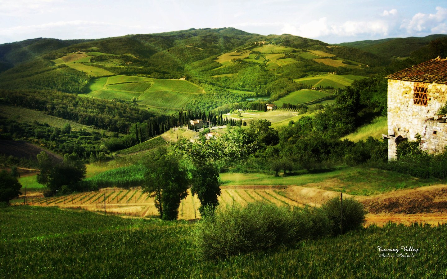 Tuscan Countryside Wallpapers