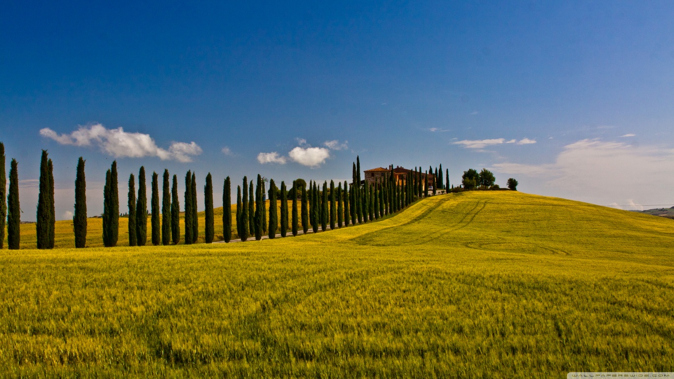 Tuscan Countryside Wallpapers