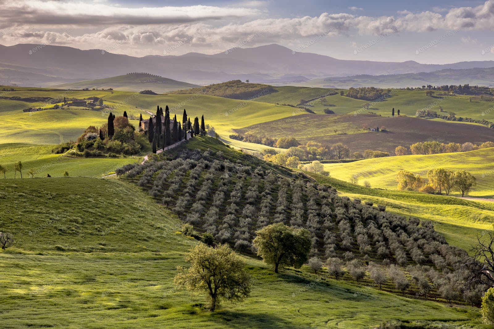 Tuscan Countryside Wallpapers