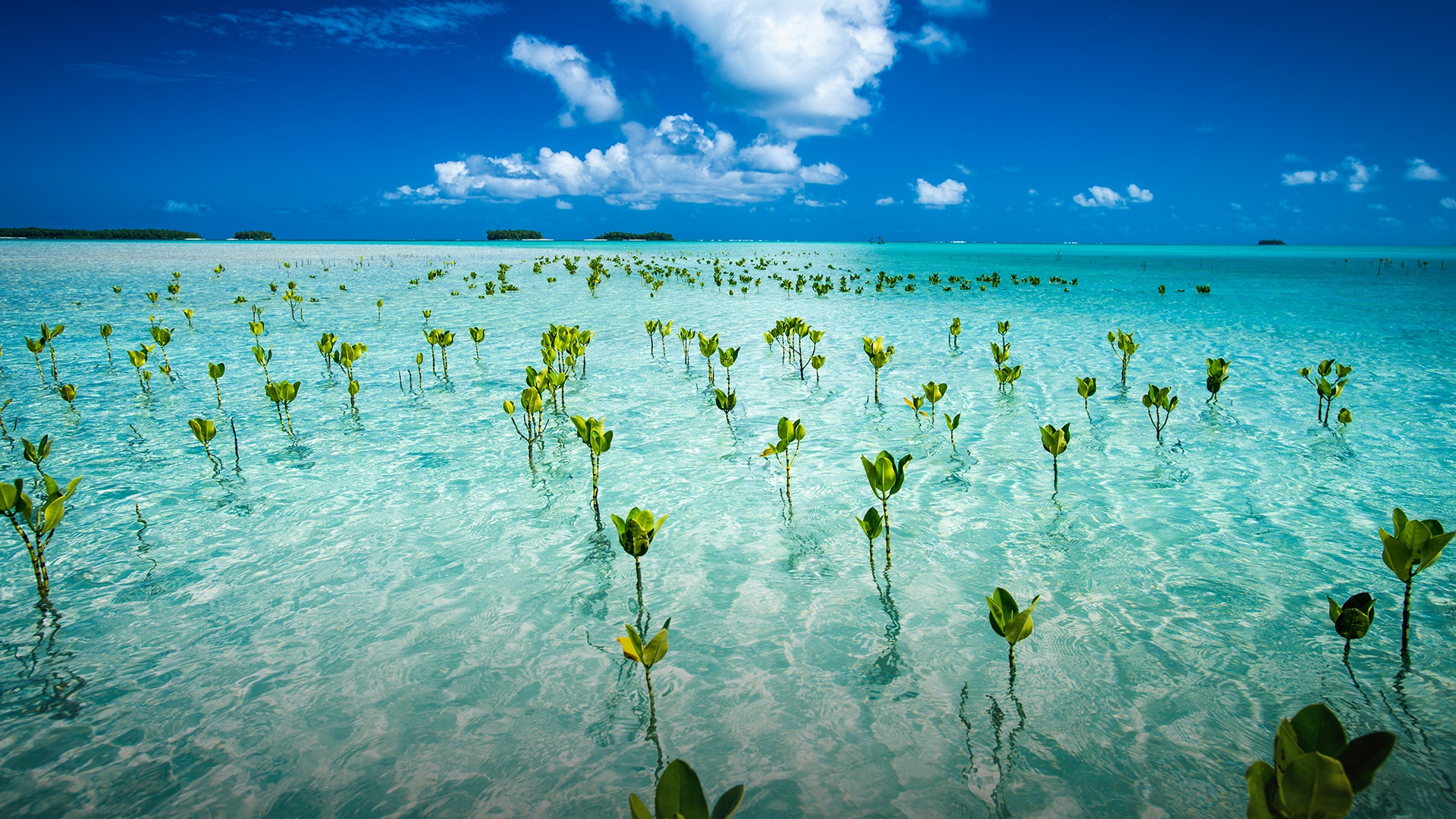 Tuvalu Wallpapers