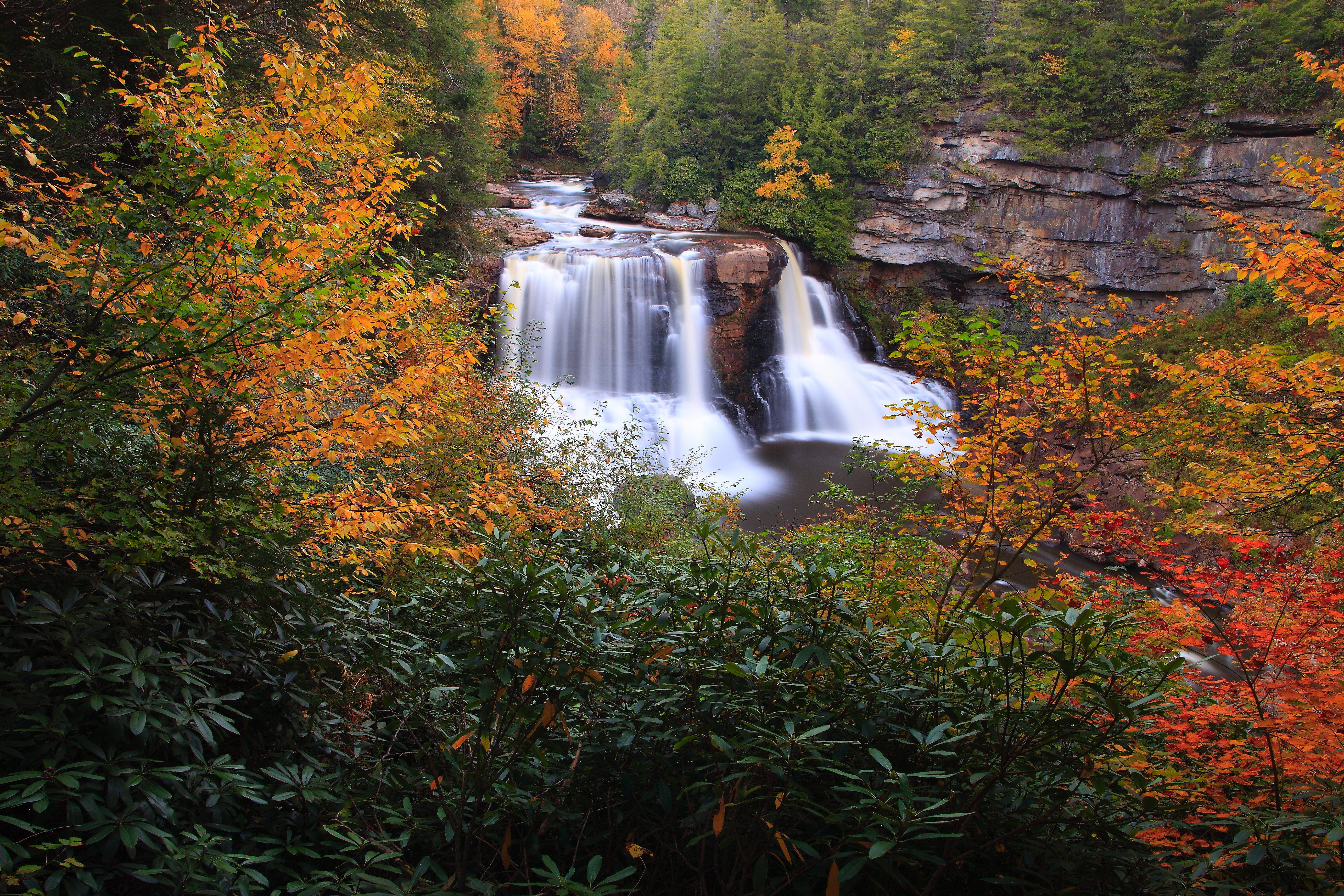 Virginia State Wallpapers