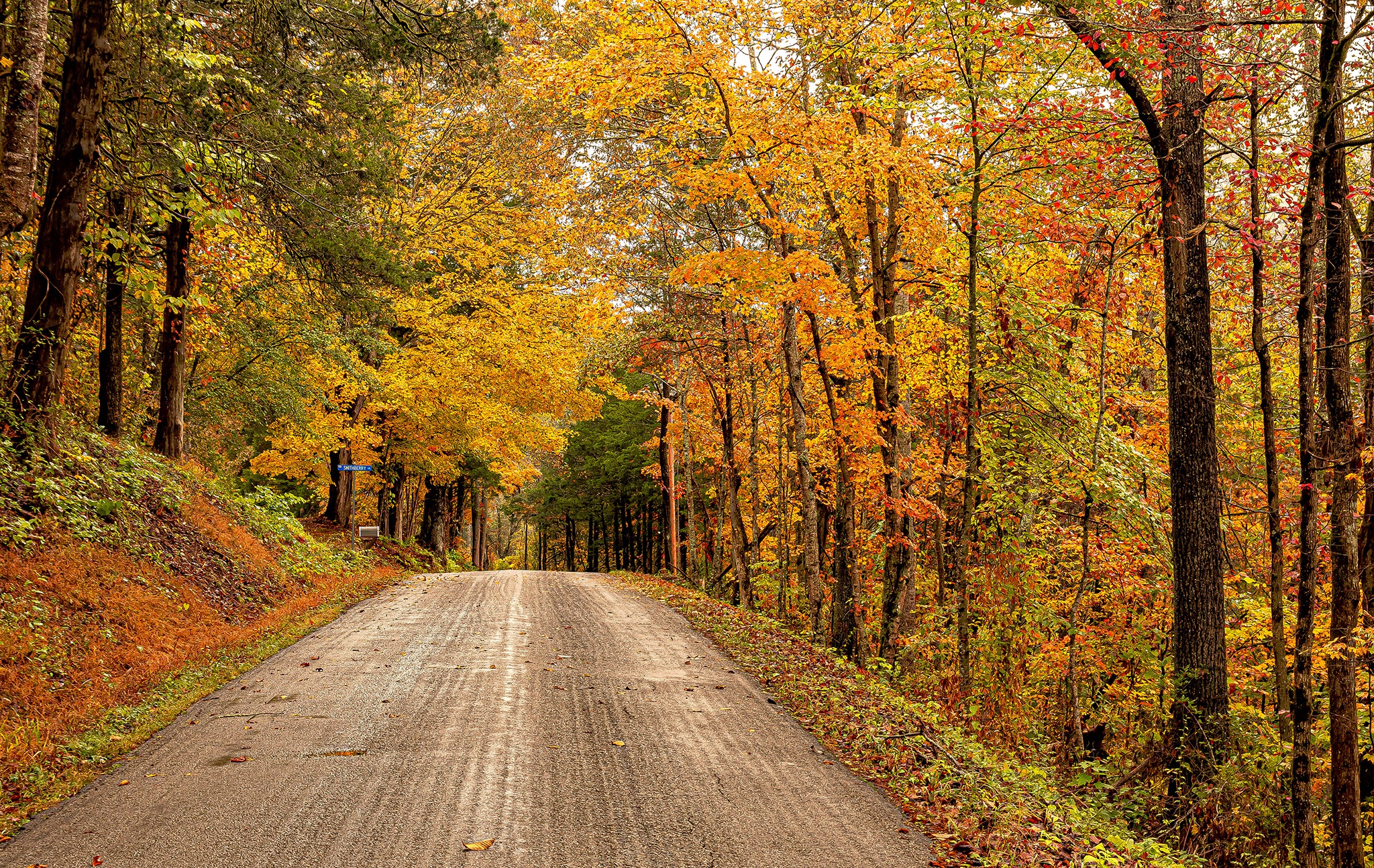 Virginia State Wallpapers