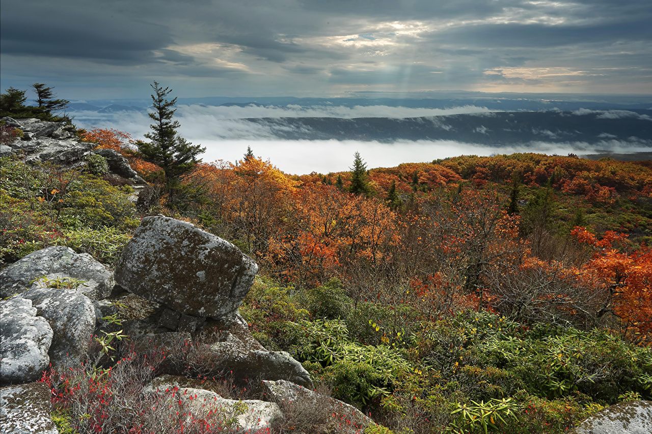 Virginia State Wallpapers