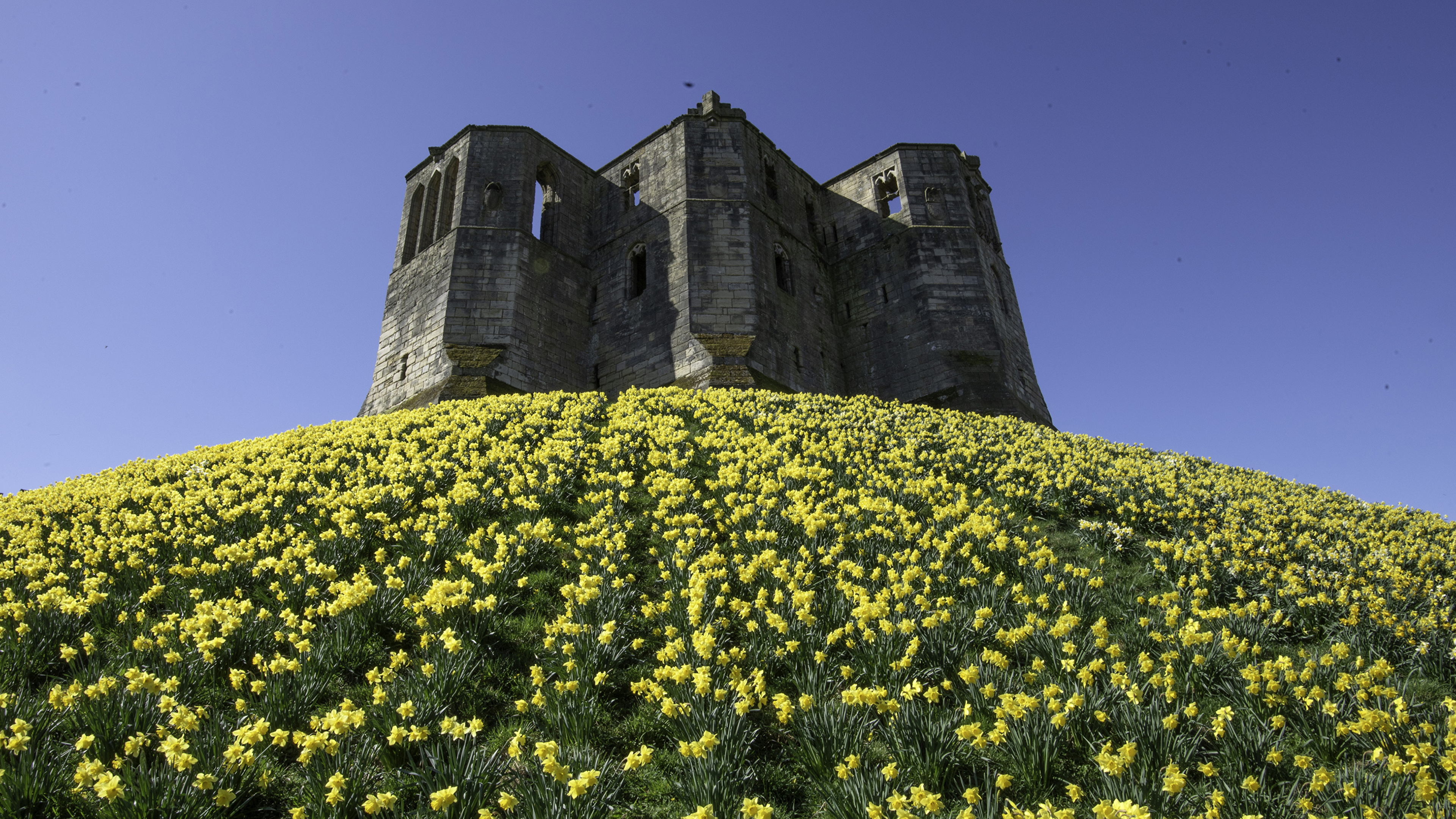 Warkworth Castle Wallpapers